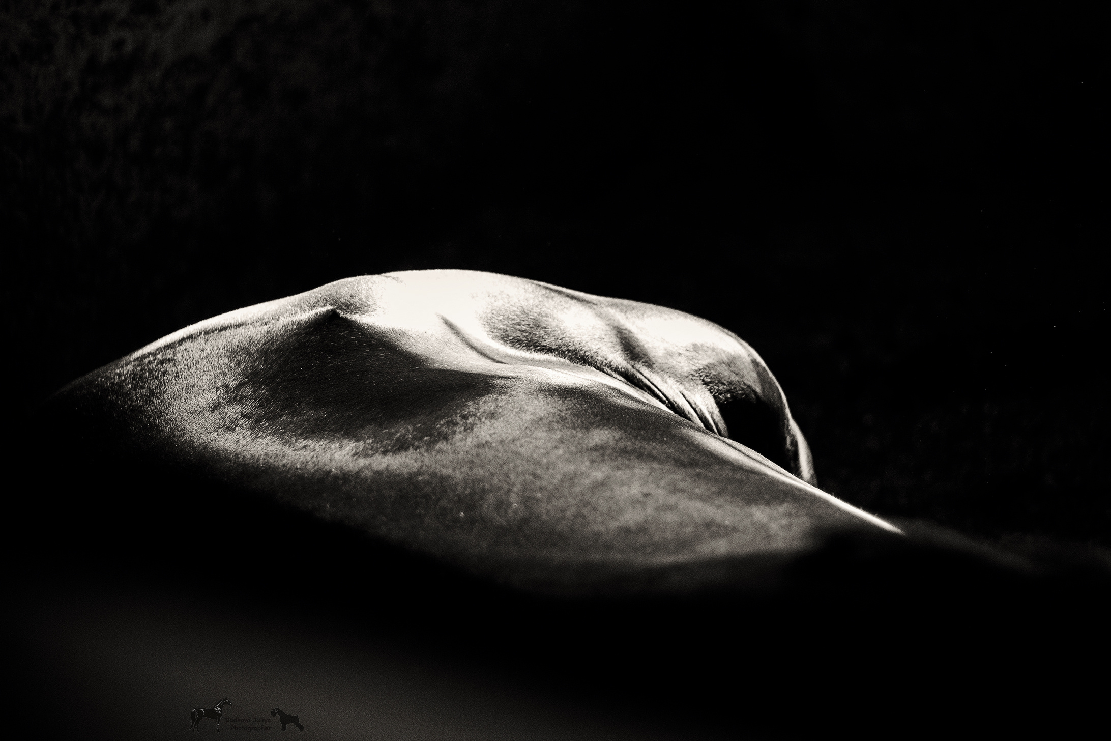 Линии. Фотограф в Москве Дудкова Юлия