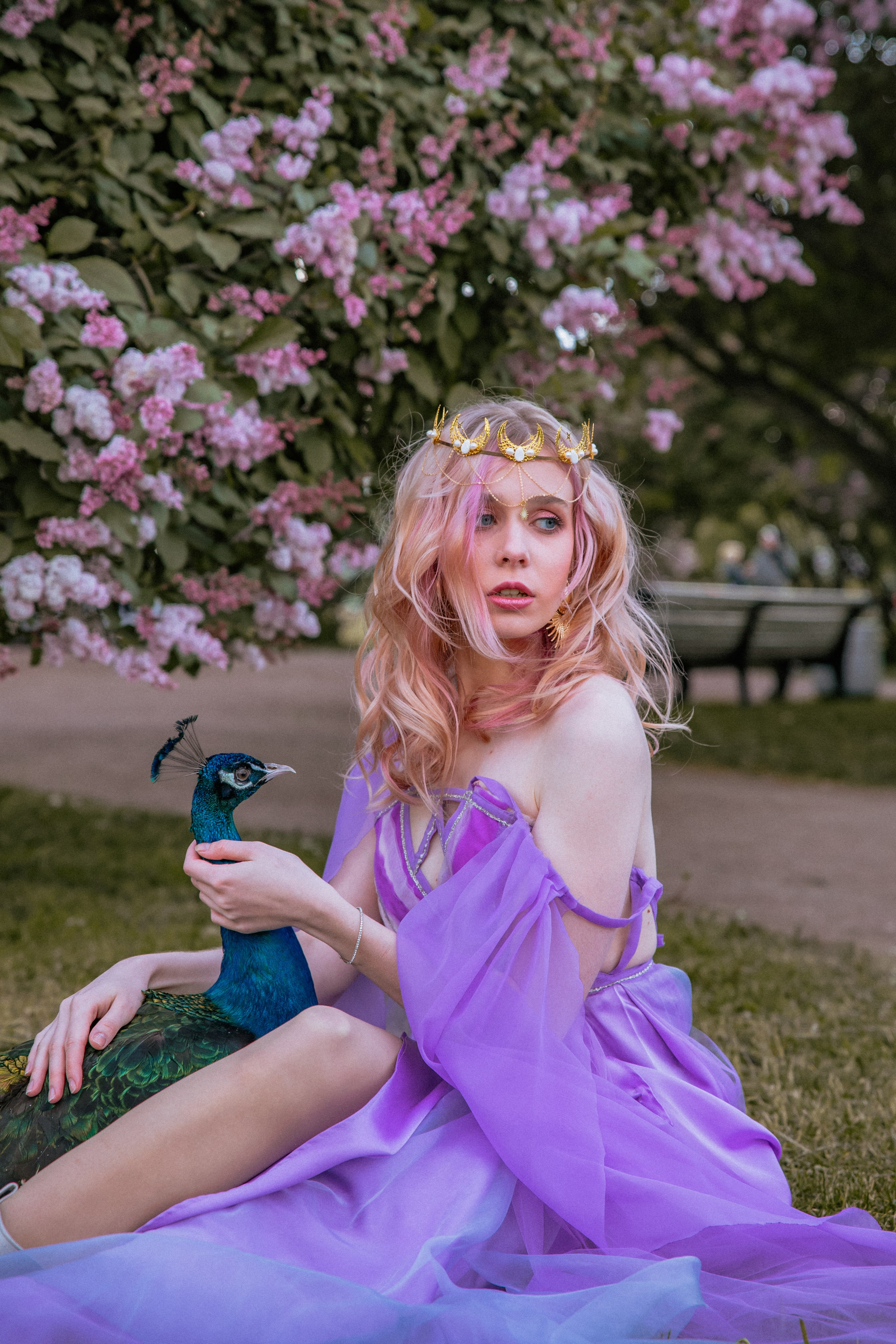 Павлин. Elena Sova — семейный и женский фотограф в Санкт-Петербурге