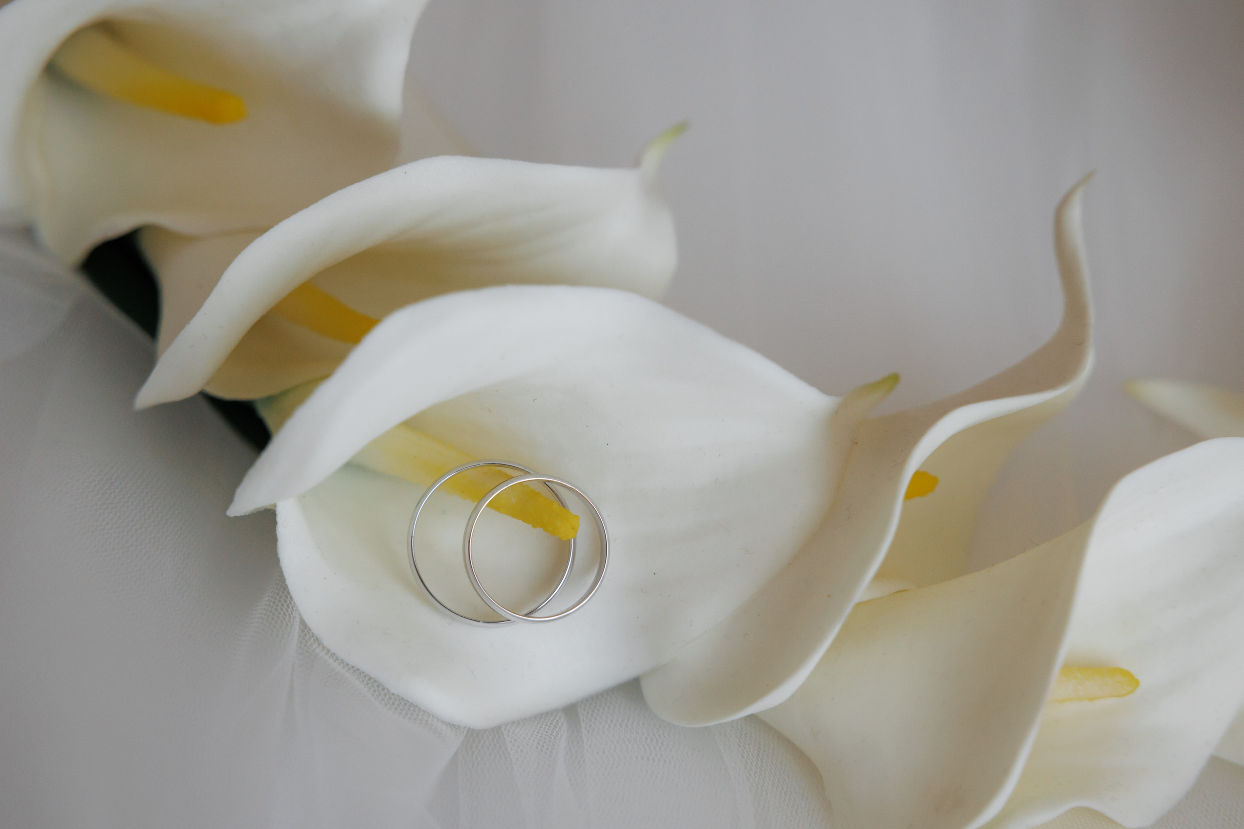 Отель «Милан», Шипиловский ЗАГС, прогулка в парке Царицыно. Свадебный и репортажный фотограф (Москва, Королев и другие)