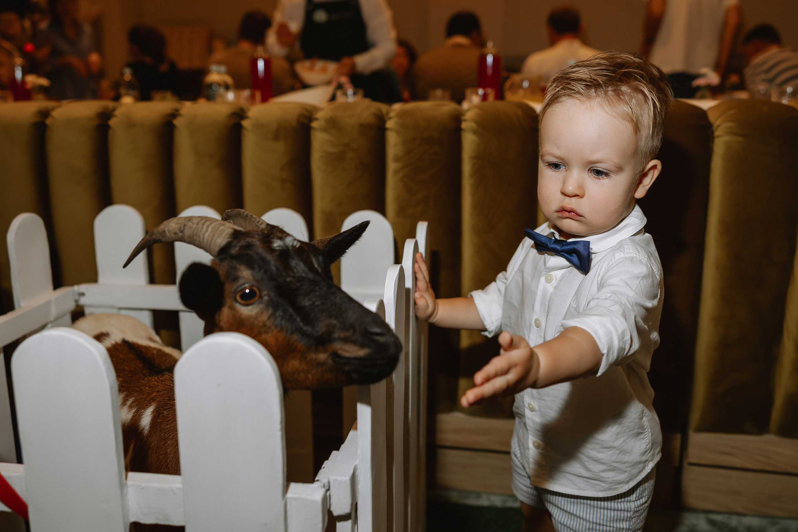 День рождения Мария и Георгий. Свадебный фотограф | Москва | Демидова Мария
