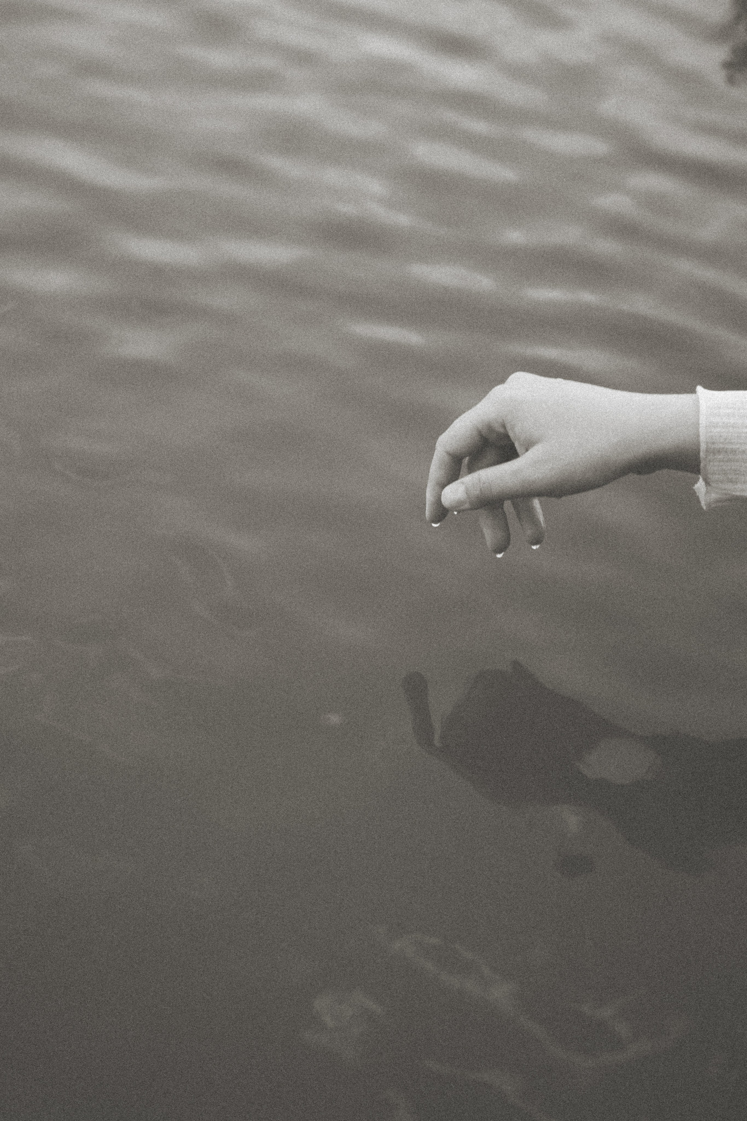 Между маем и июнем. Фотограф Москва Селюкова Юлия