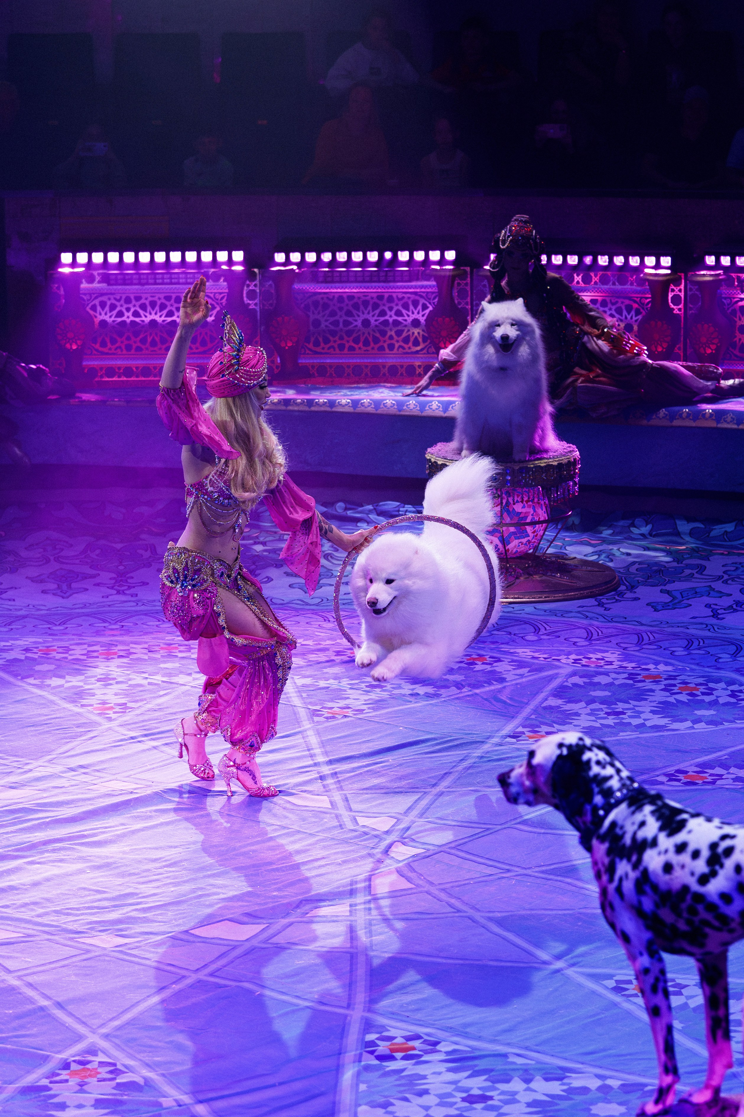 Новое шоу Гии Эрадзе «ПЕСЧАНАЯ СКАЗКА». Фотомастерская Воробьевых