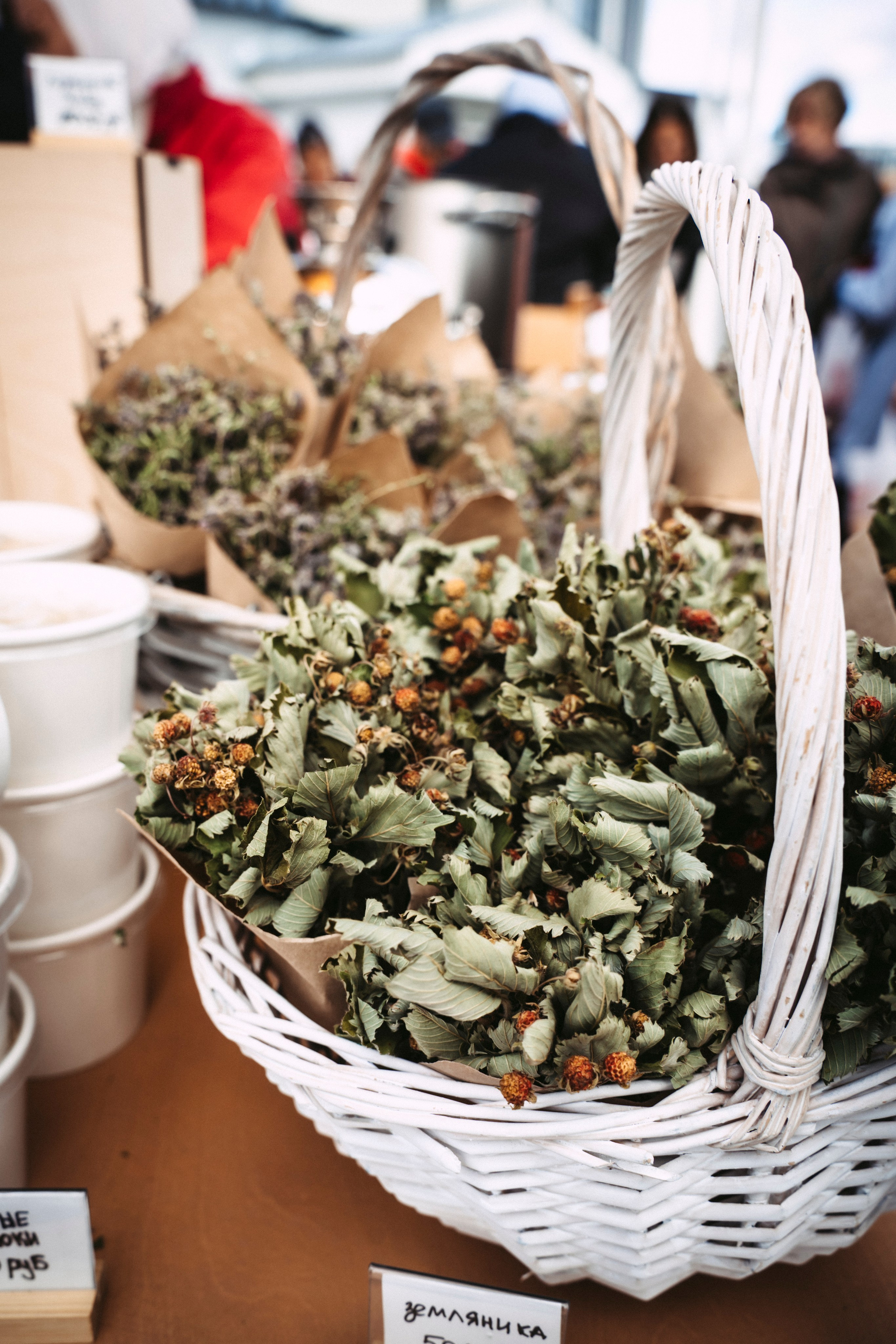 Фестиваль «Очень! Осень». Главная