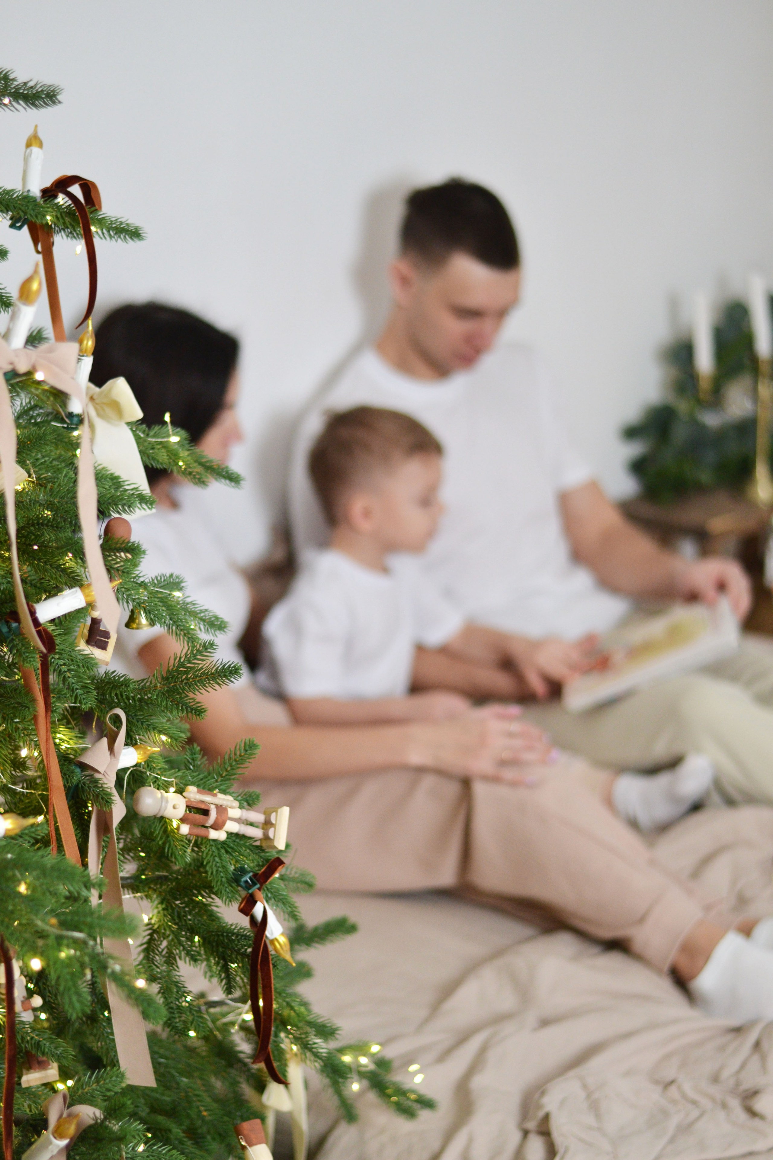 Новогодняя. Фотограф Ольга Дмитриева. Новосибирск