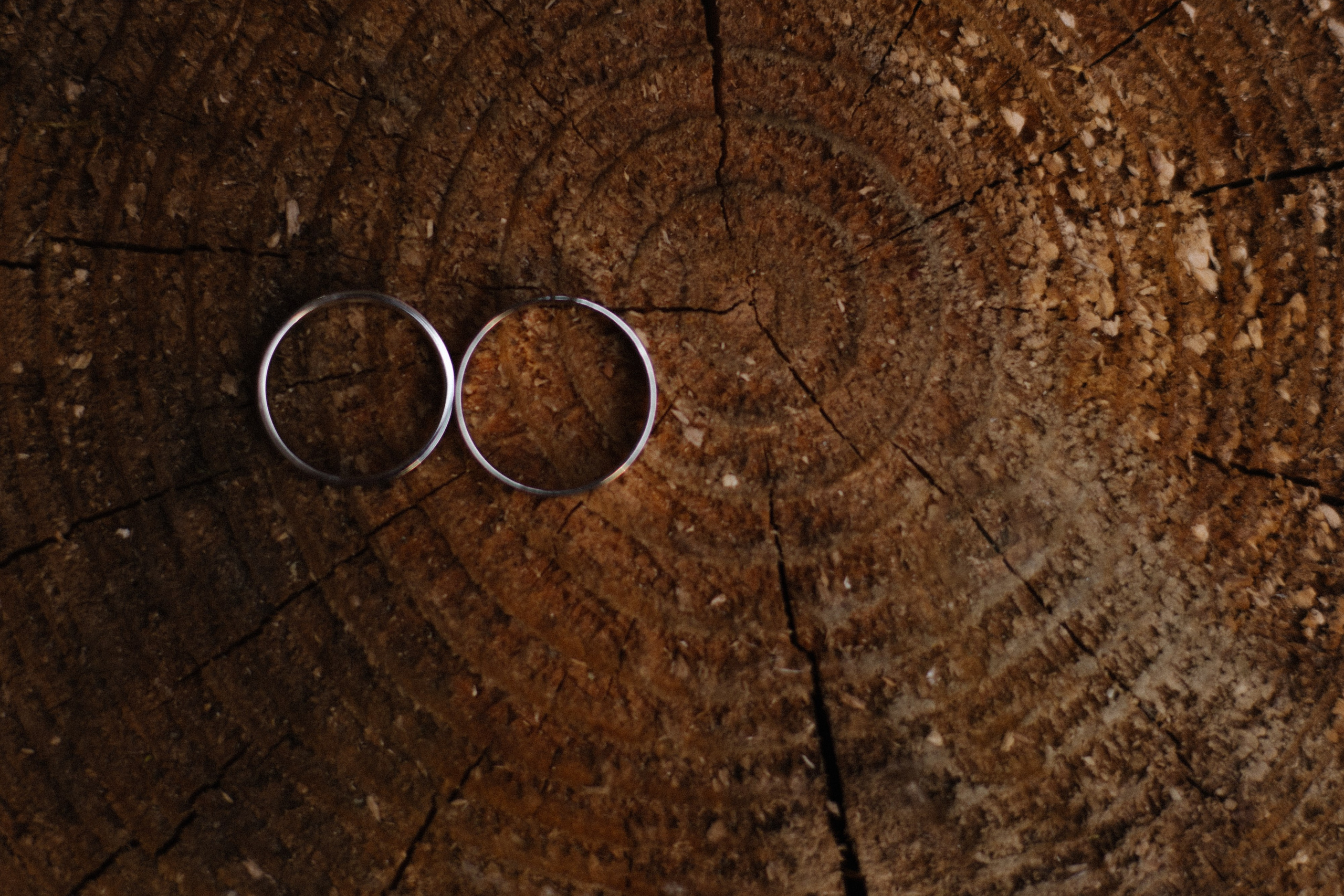 Крылья бабочки. Фотограф Диана Хасанова, г. Казань