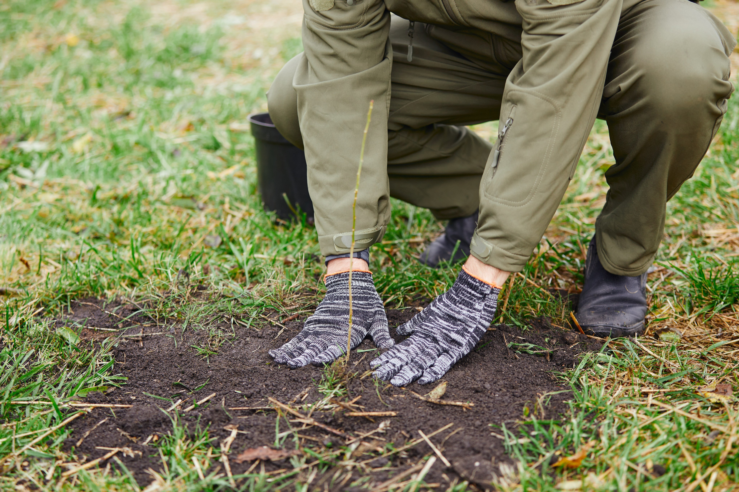 Акция «Зелёная Дубрава» на Куликовом поле. Даниил Гузиенко — репортажный фотограф в Туле