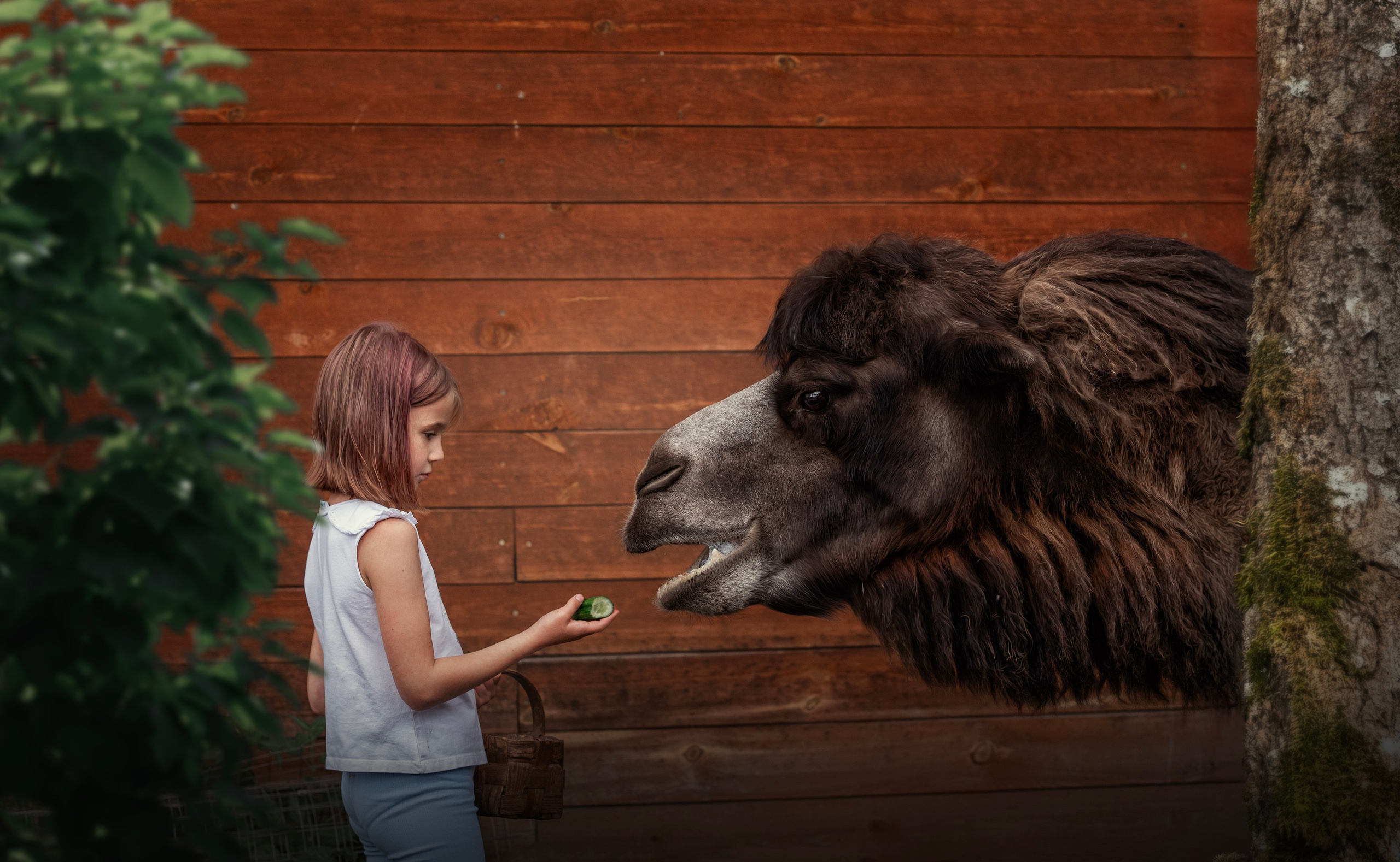 ОЛЕНИ. Семейный фотограф Екатеринбург Лора Мур