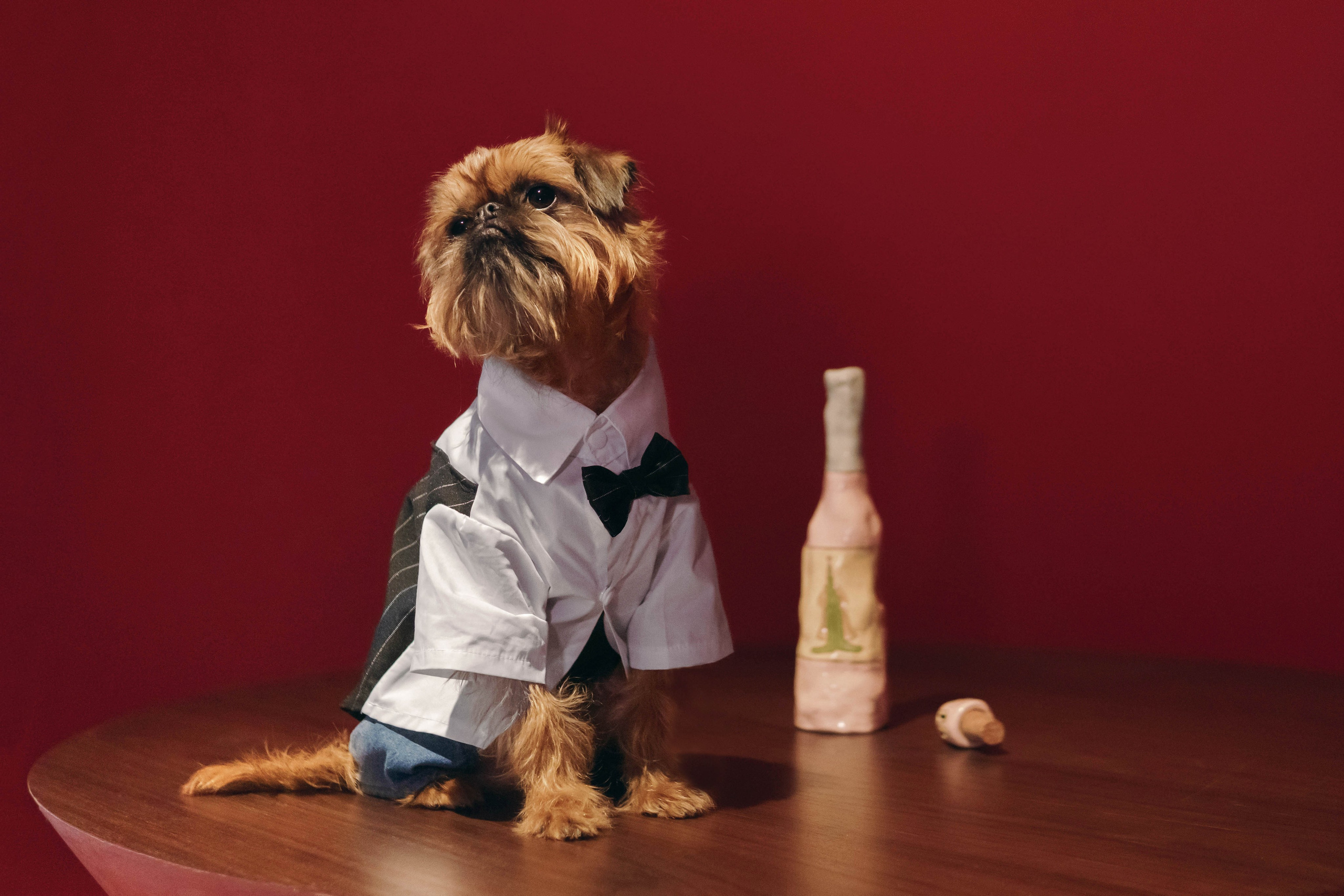 Наташа и Хавьер. Фотограф-анималист Ксения Воробьева, Москва