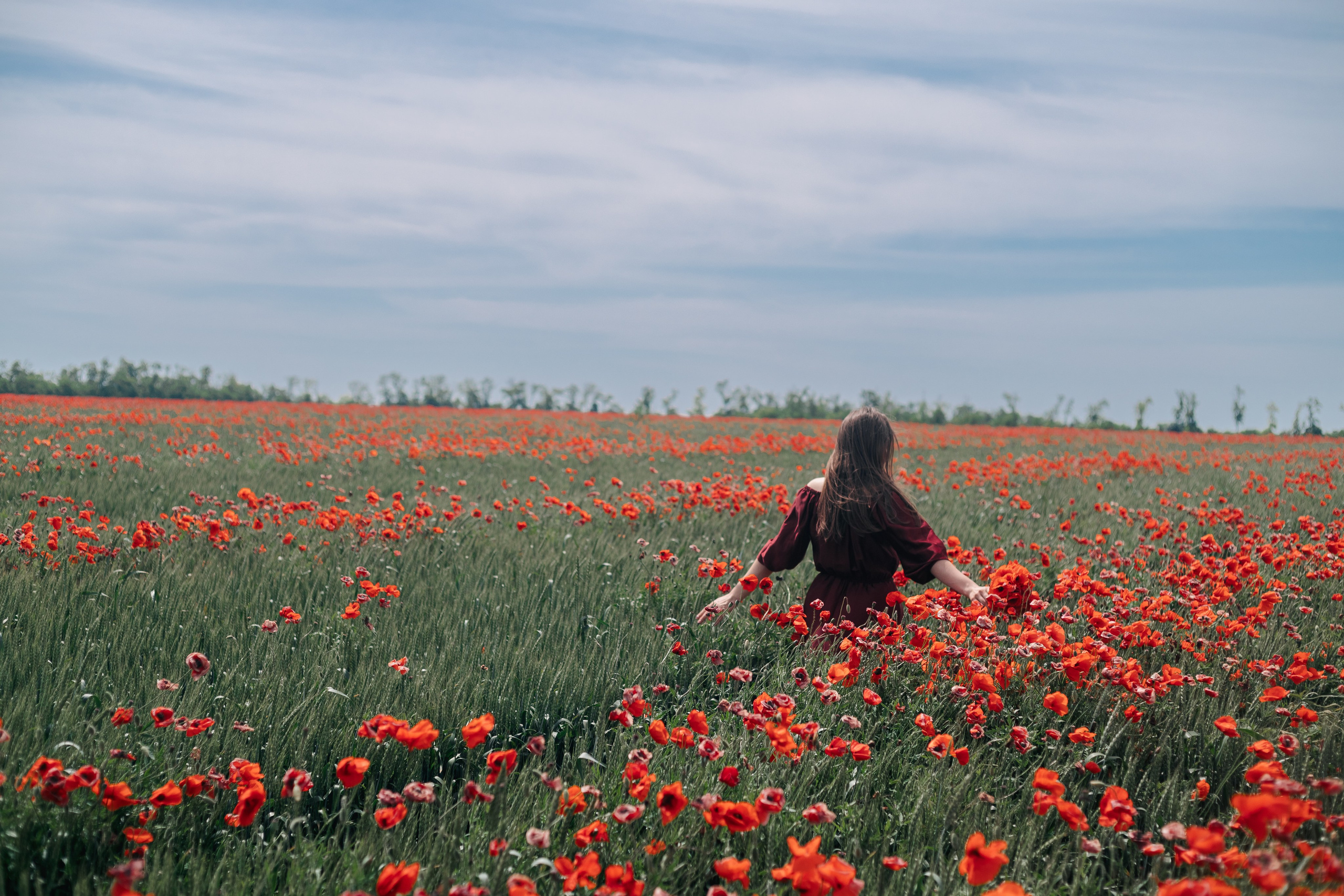 Фотосессия в маковом поле. Свадебный и семейный фотограф в Краснодарском крае Мария Данилкина