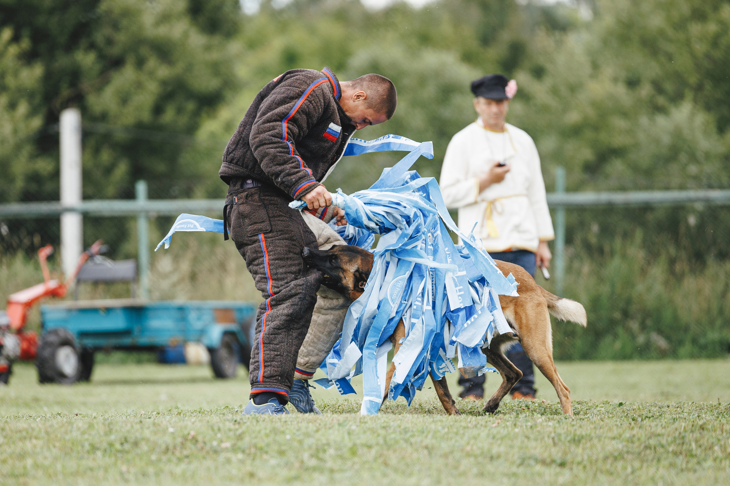 08.08.25-10.08.25 ЧР по мондьорингу г. Вологда. Фотограф-анималист Анна Маринич