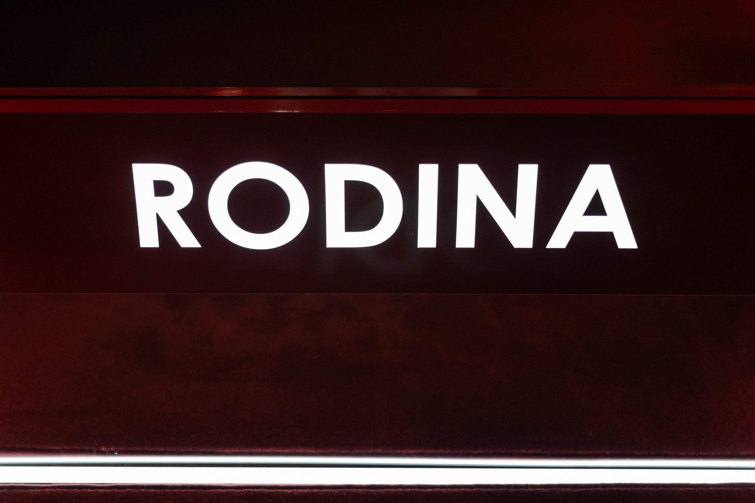 День рождения (RODINA). Татьяна Чернышова свадебный фотограф Москва