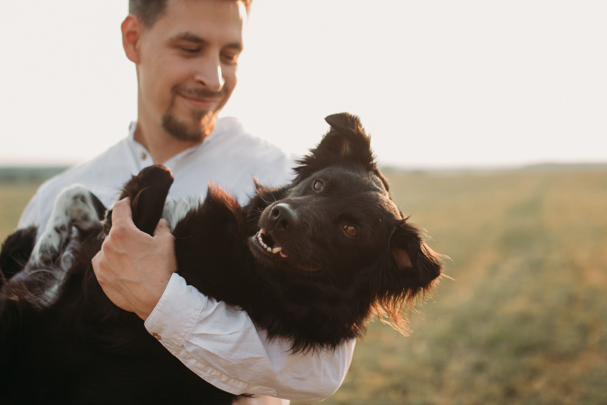 Фотосессия беременности в поле на закате. Семейный фотограф Екатеринбург Черепанова Олеся