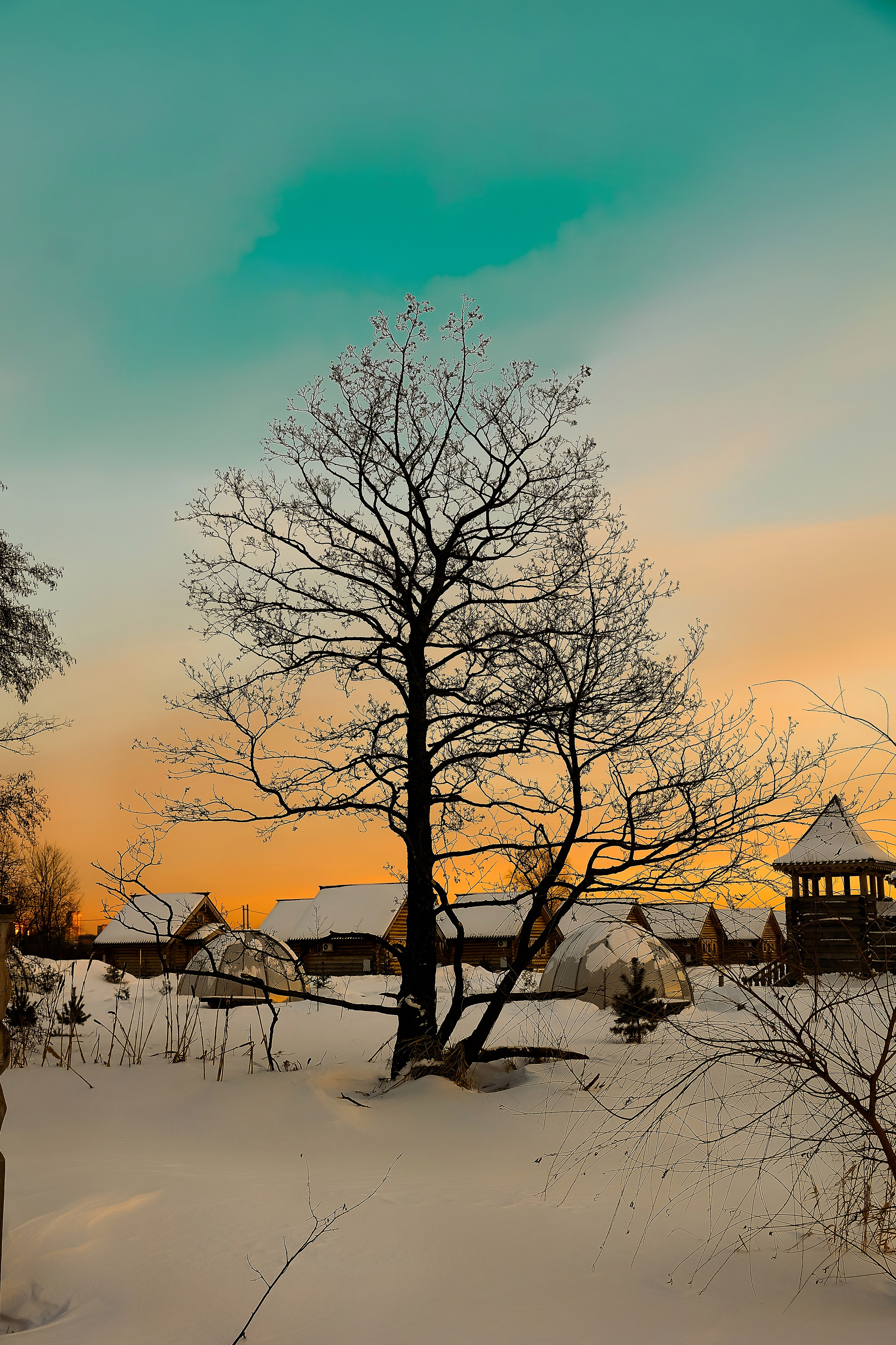 Зима, которая помнит