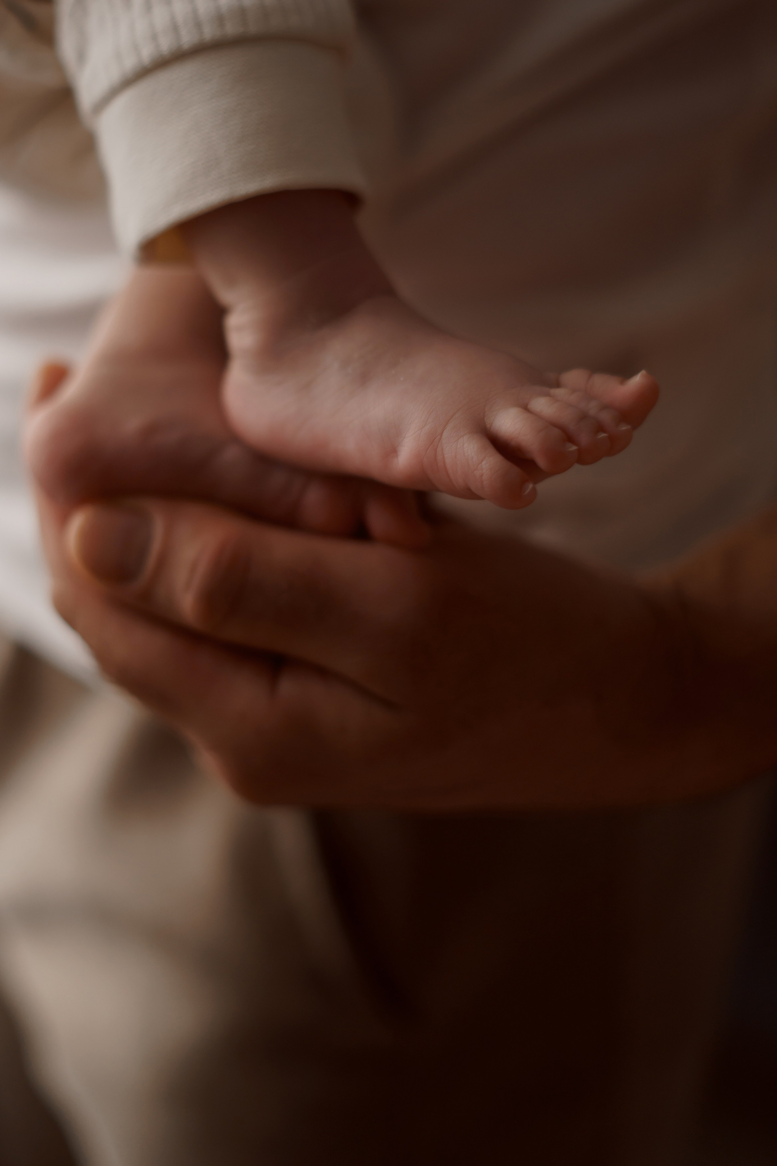 Семейная фотосессия. Услуги