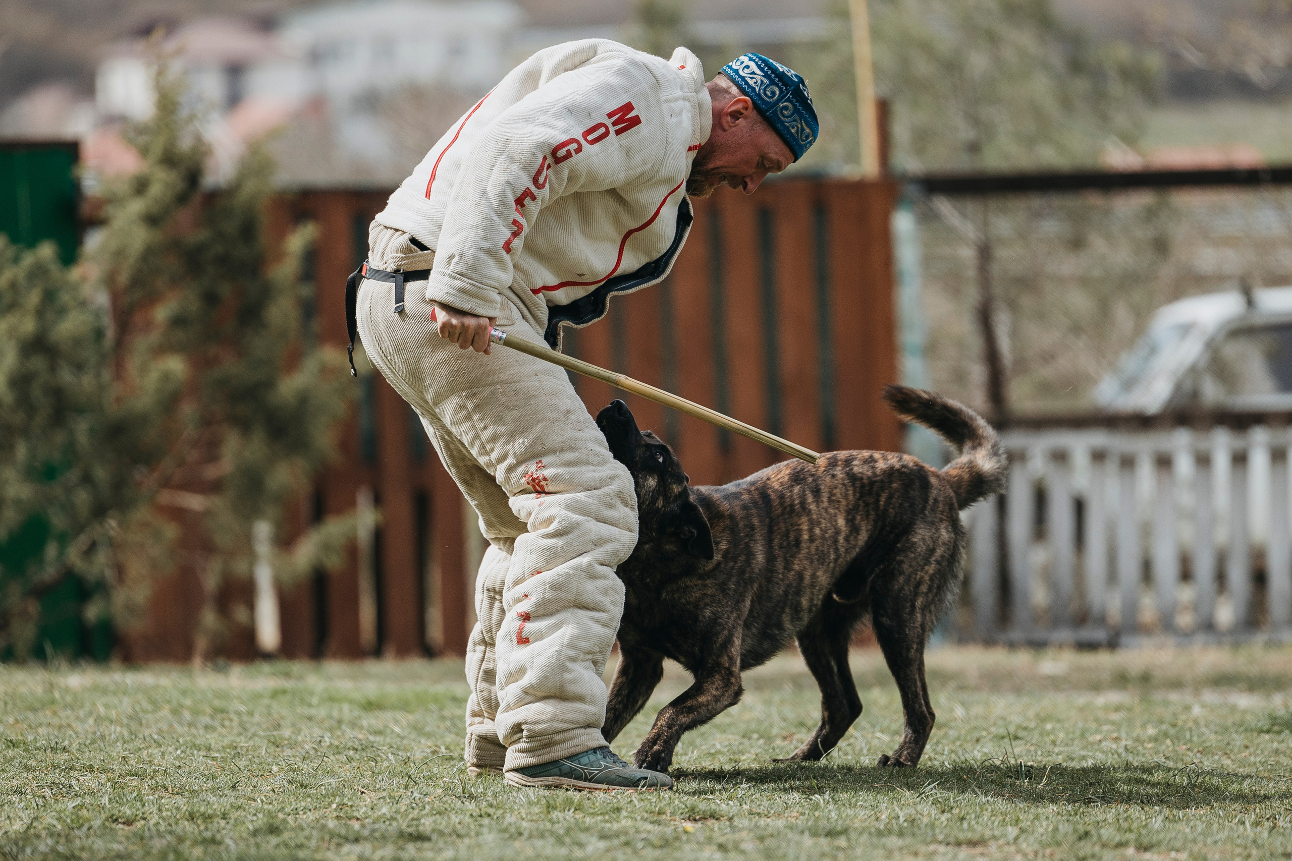 Геленджик Мондьоринг. Фотограф-анималист Анна Маринич