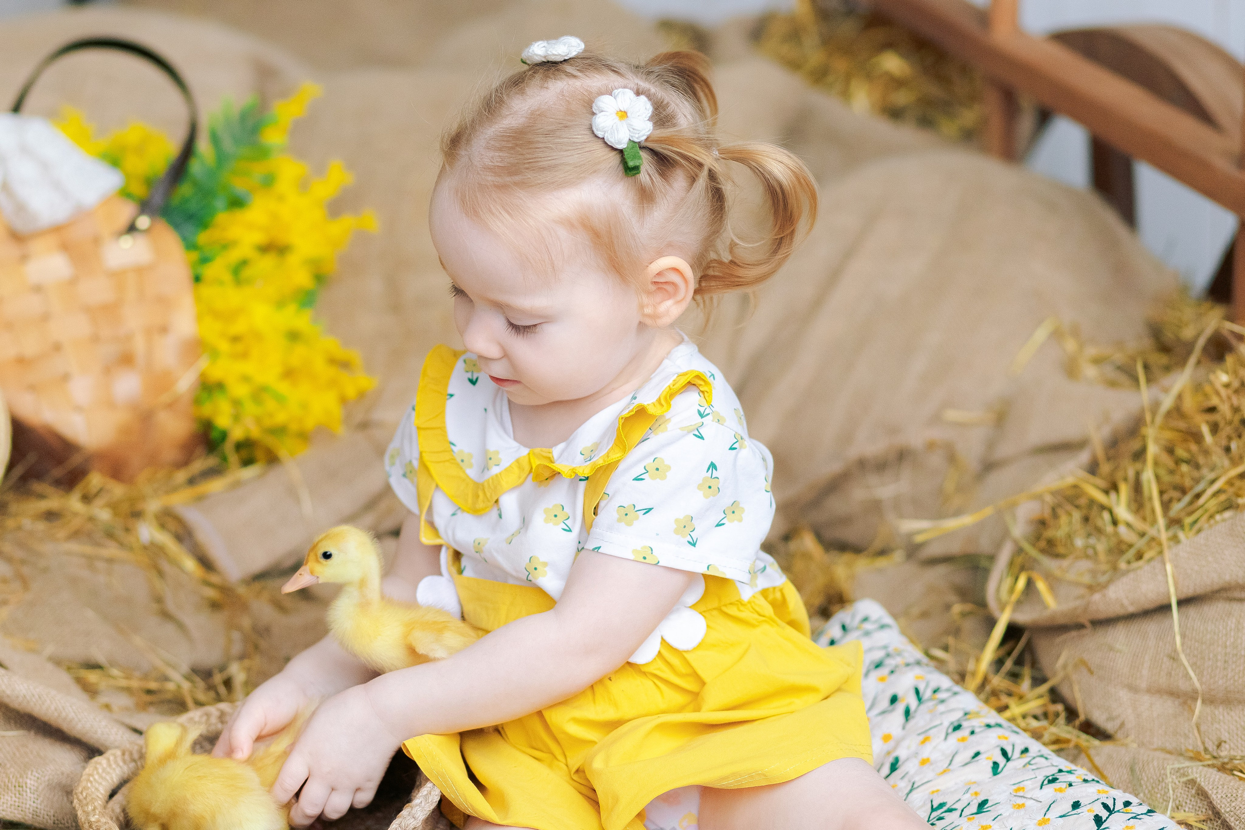 Пасхальная фотосессия с утятами в студии. Семейный фотограф Анна Скворцова