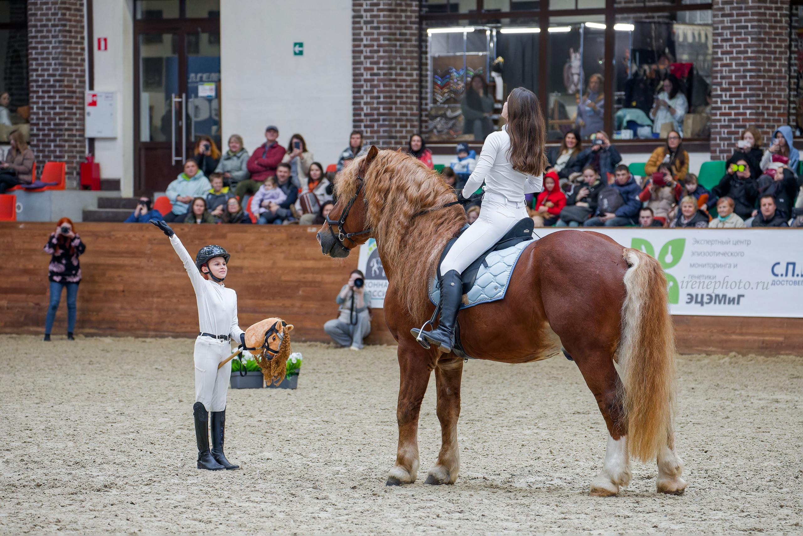 Конная Россия 2024. Irenephoto.ru