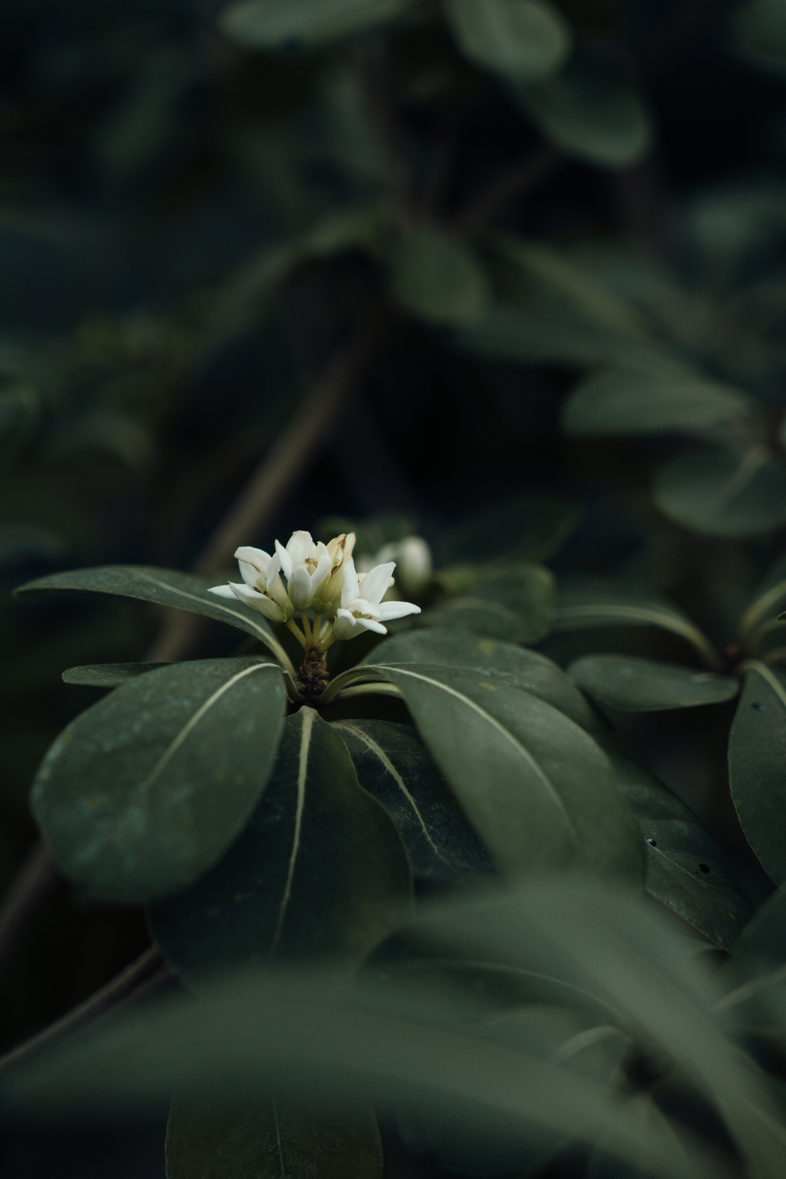 Саша и Катя. Главная