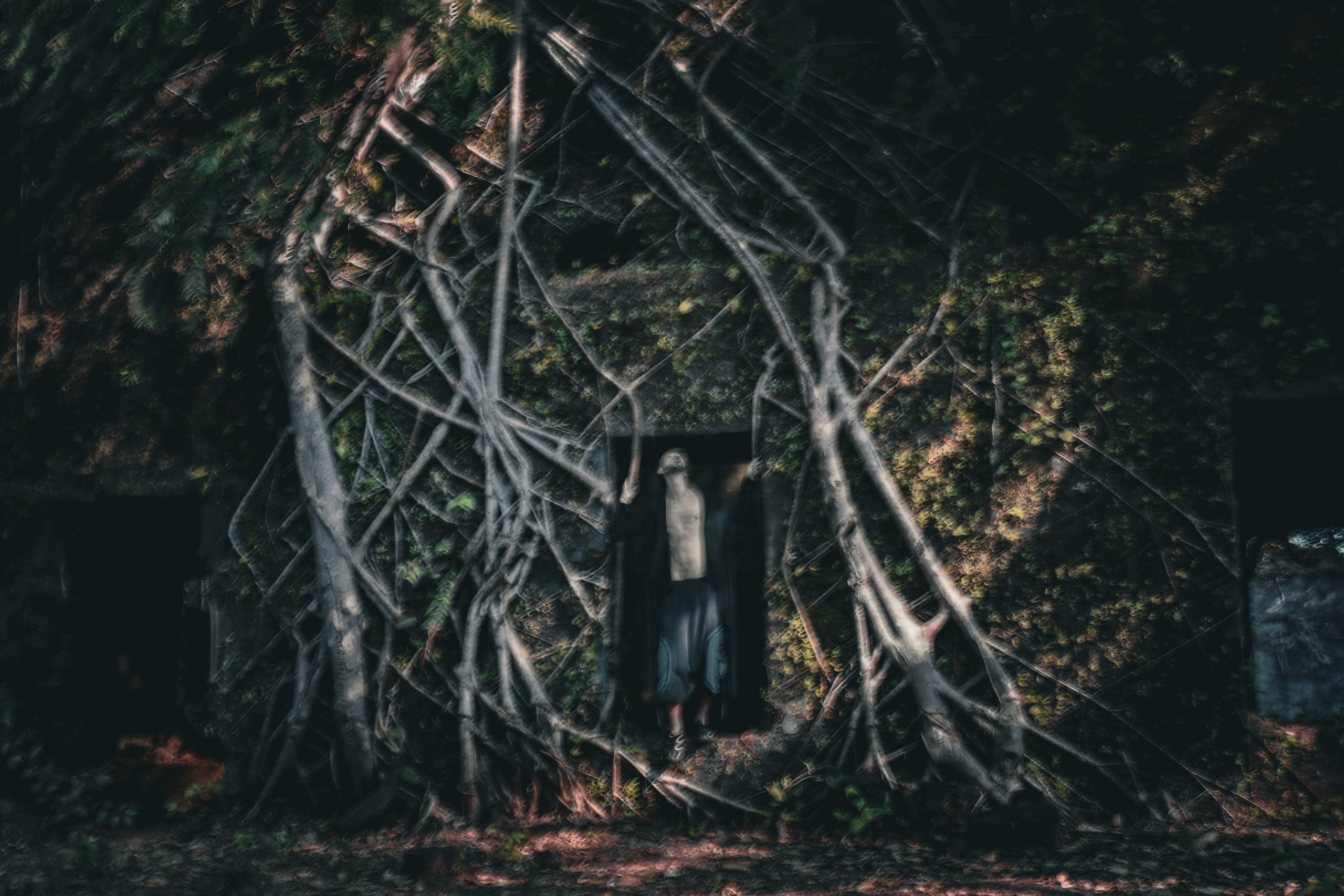 Стас. Сайт Фотографа MASHASOLAR