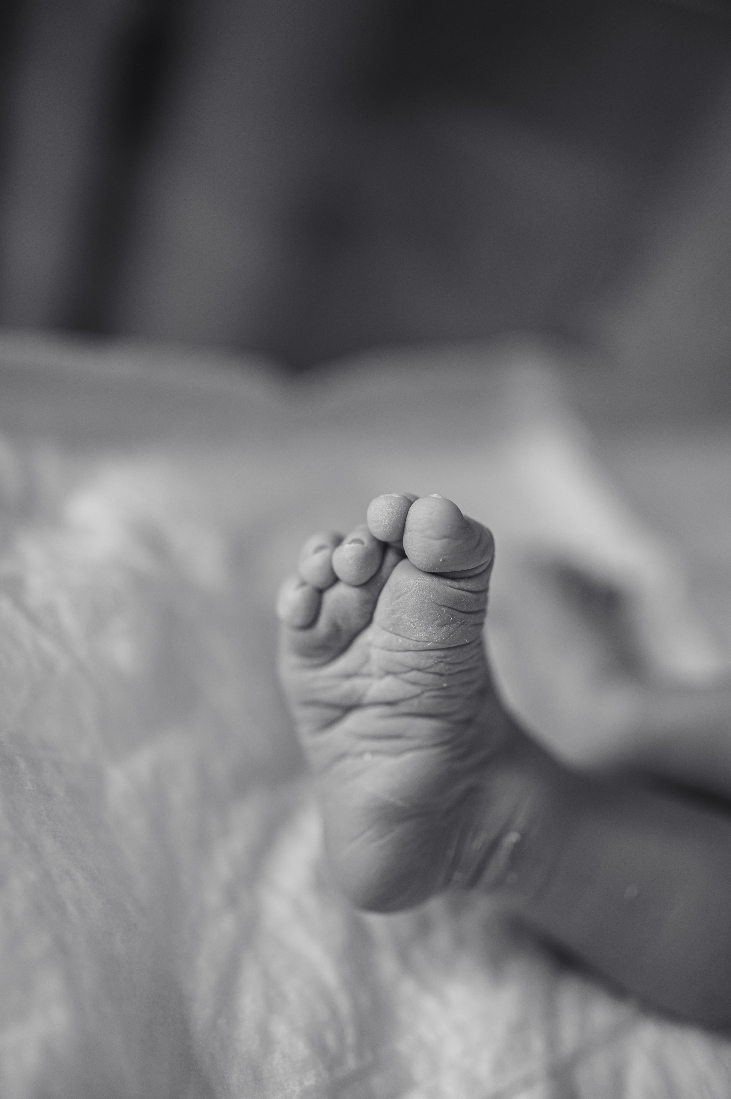 Хонор Хонорович родился в МД Лахта / Лешуков С. В. / Никитина Е. Фотограф на роды СПБ Юлия Герасимова