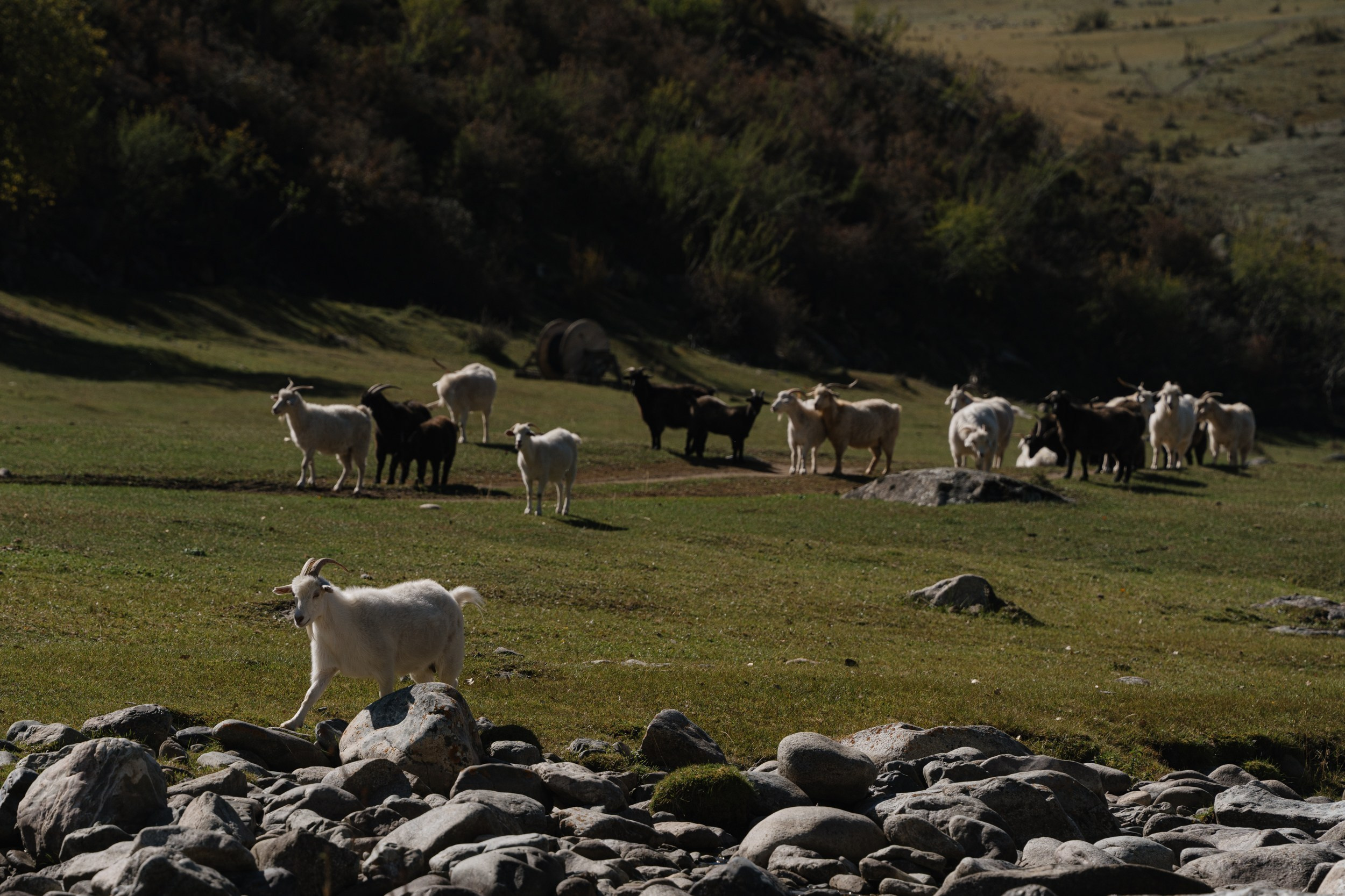 Road Trip. Главная