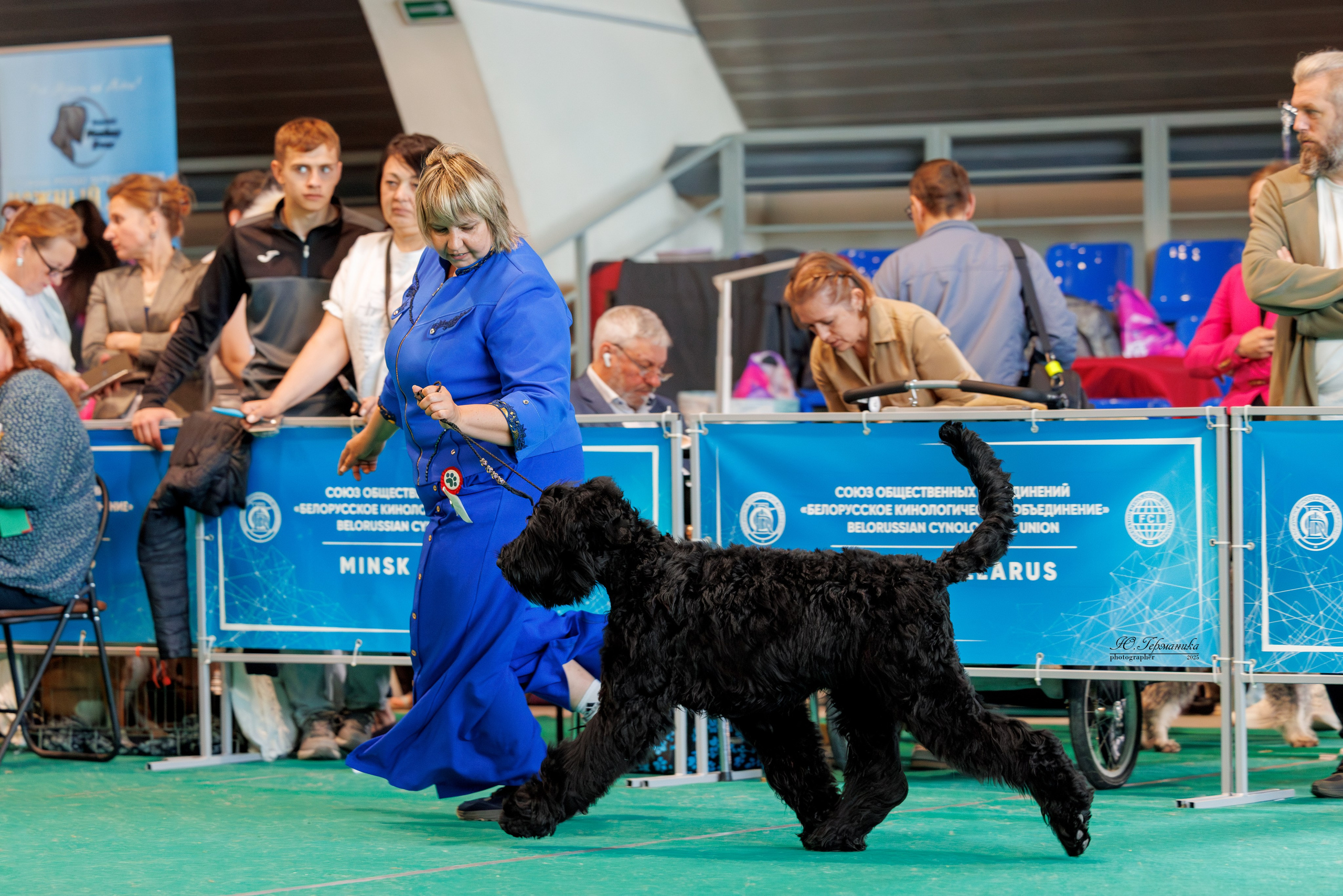 Минск 31.05-1.06.2025. Фотограф-анималист Юлия Германика