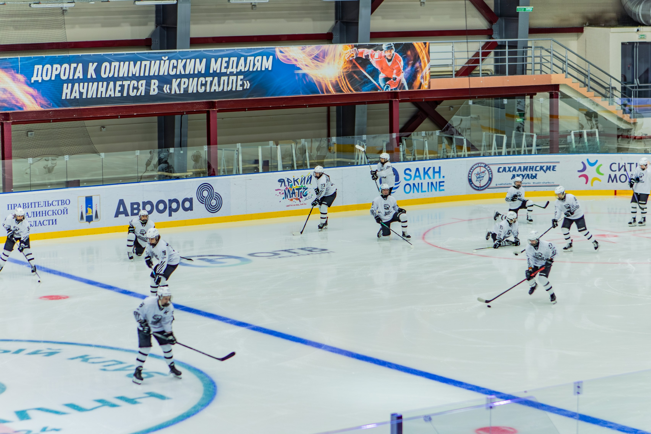Матч «Сахалин"-"Белые Медведицы». Свадебный фотограф в Южно-Сахалинске Валерий Харченко