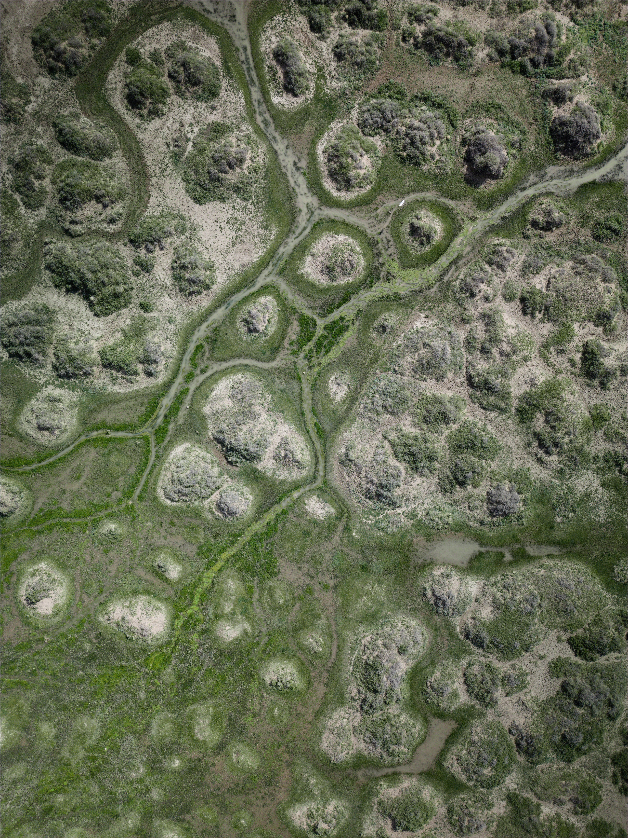 Экспедиция в Монголию (Гоби). Семоха Валерий. Фотограф