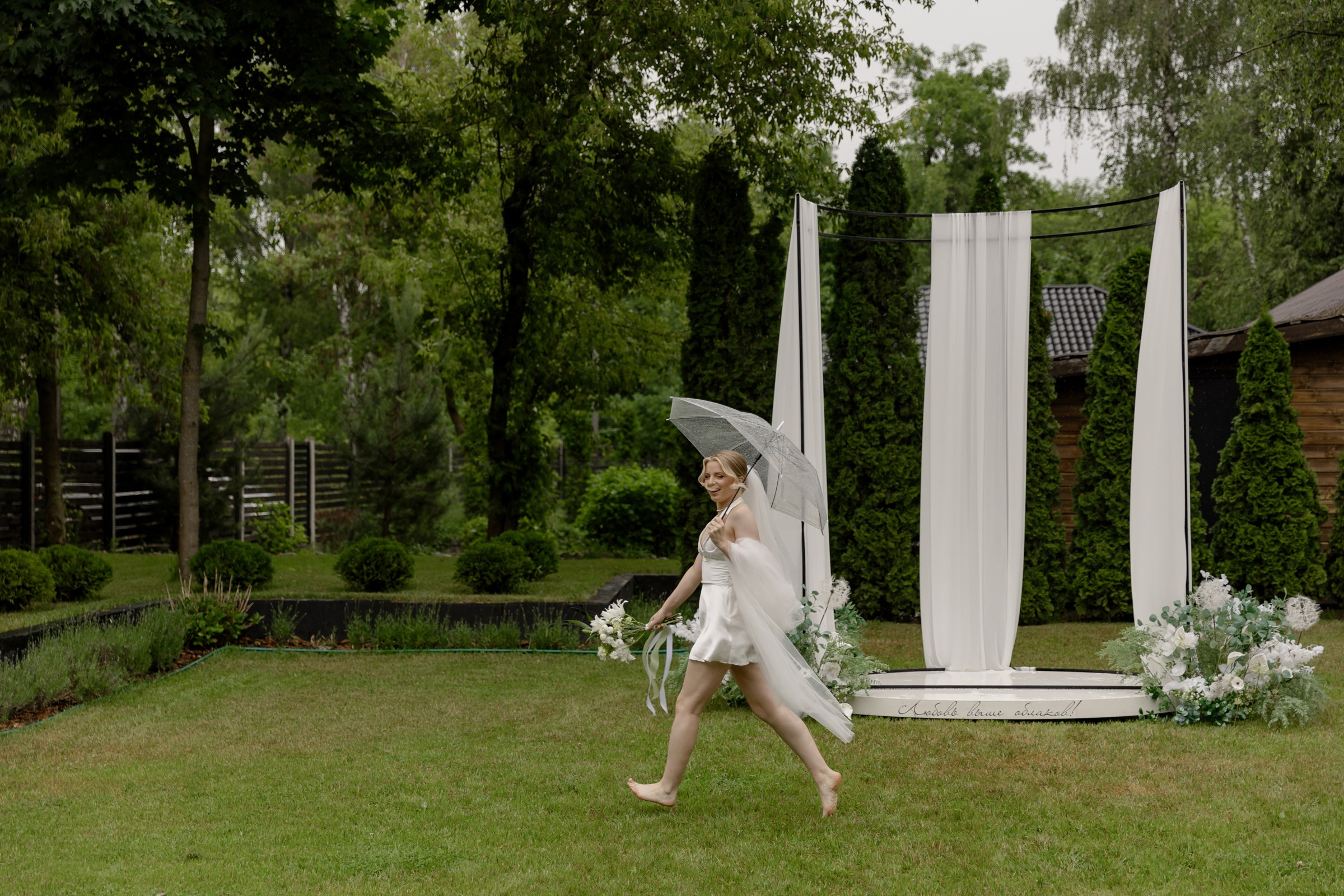 Свадьба пес и котики. Dima Lemeshevsky