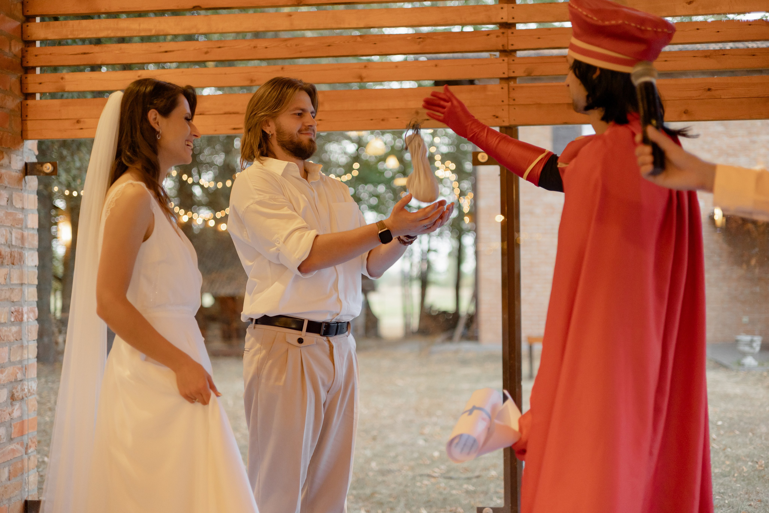 Виноградники. Dima Lemeshevsky