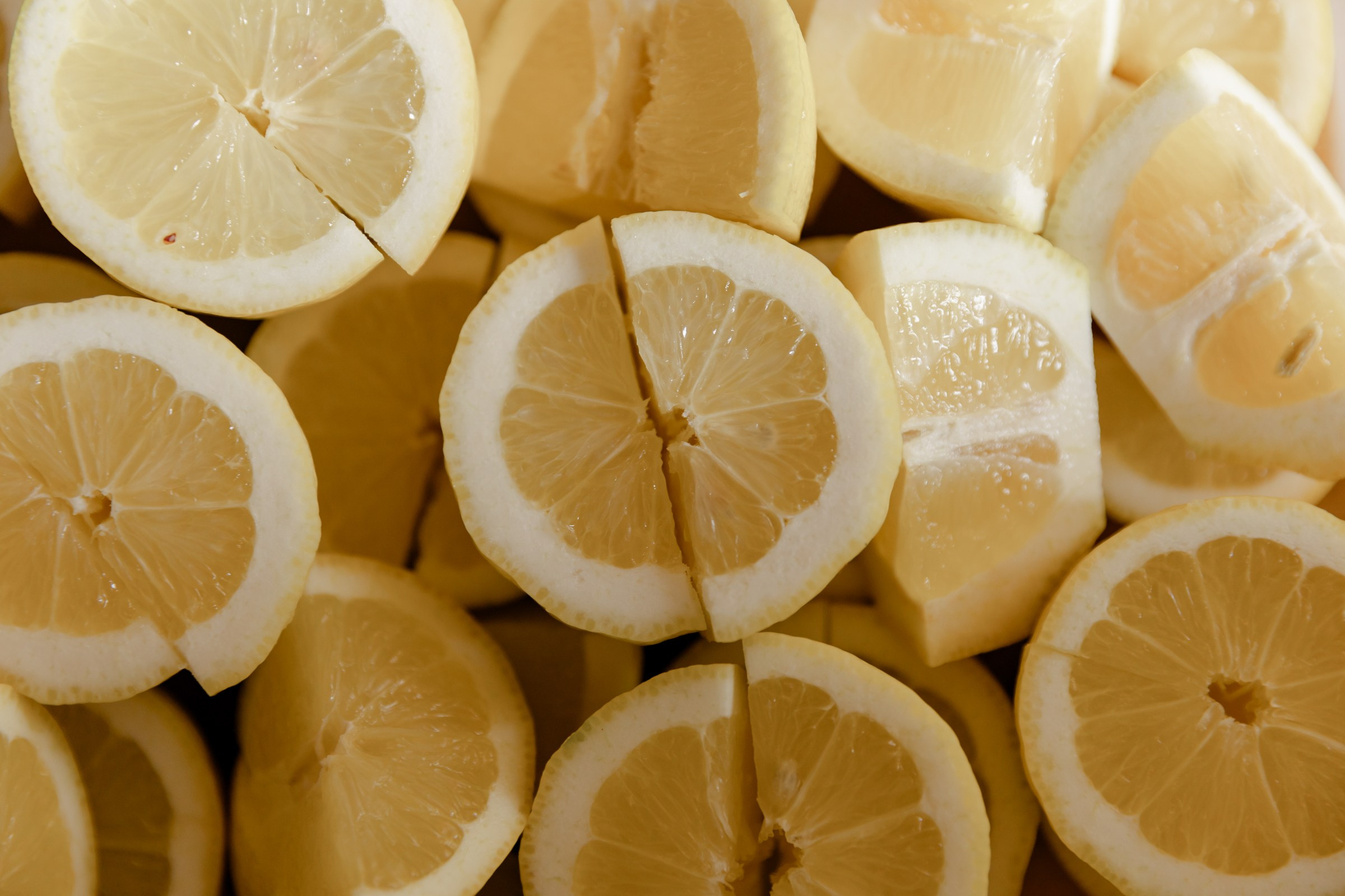 Свадьба пес и котики. Dima Lemeshevsky