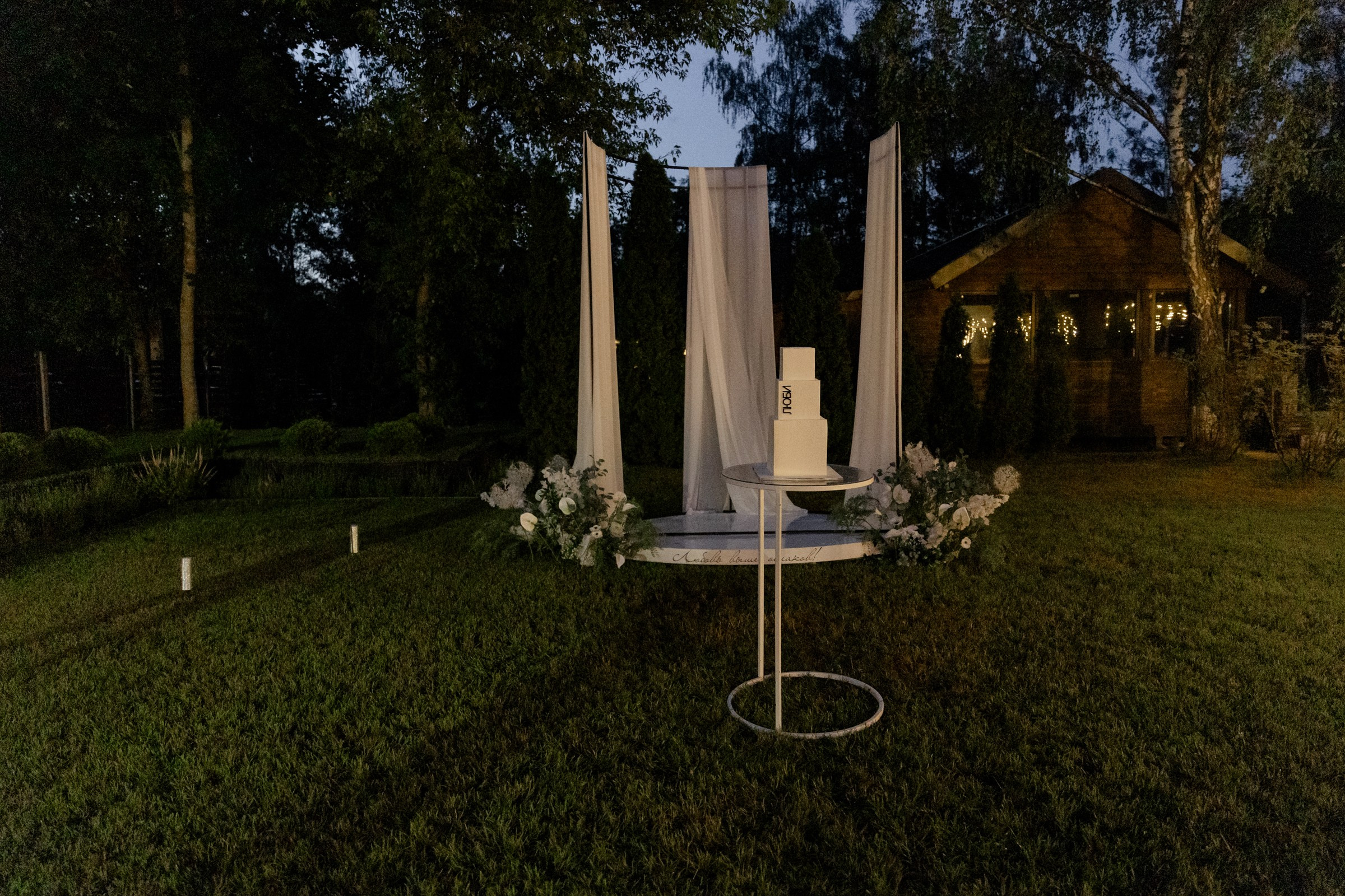 Свадьба пес и котики. Dima Lemeshevsky