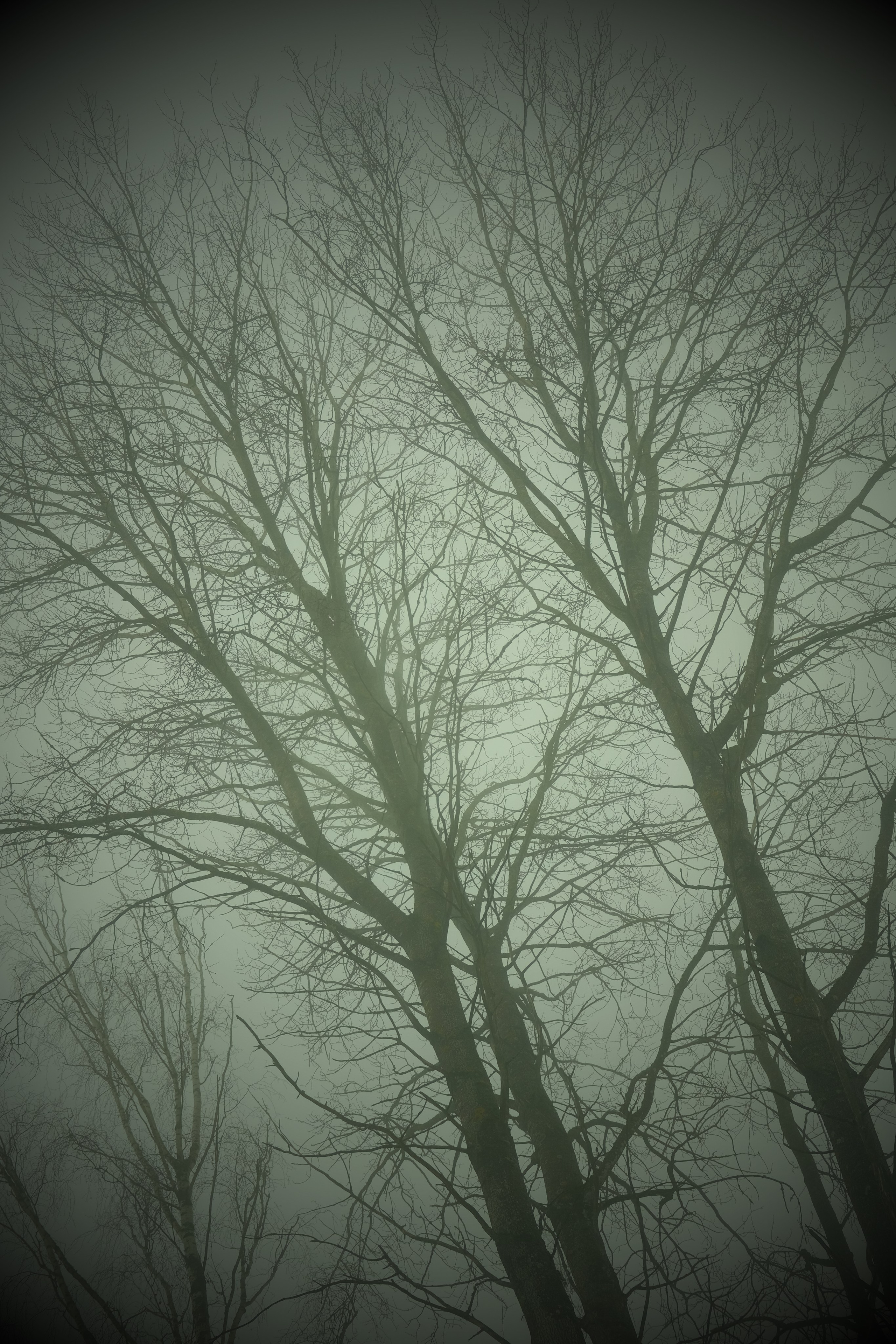 Рефлексия. Портретный фотограф