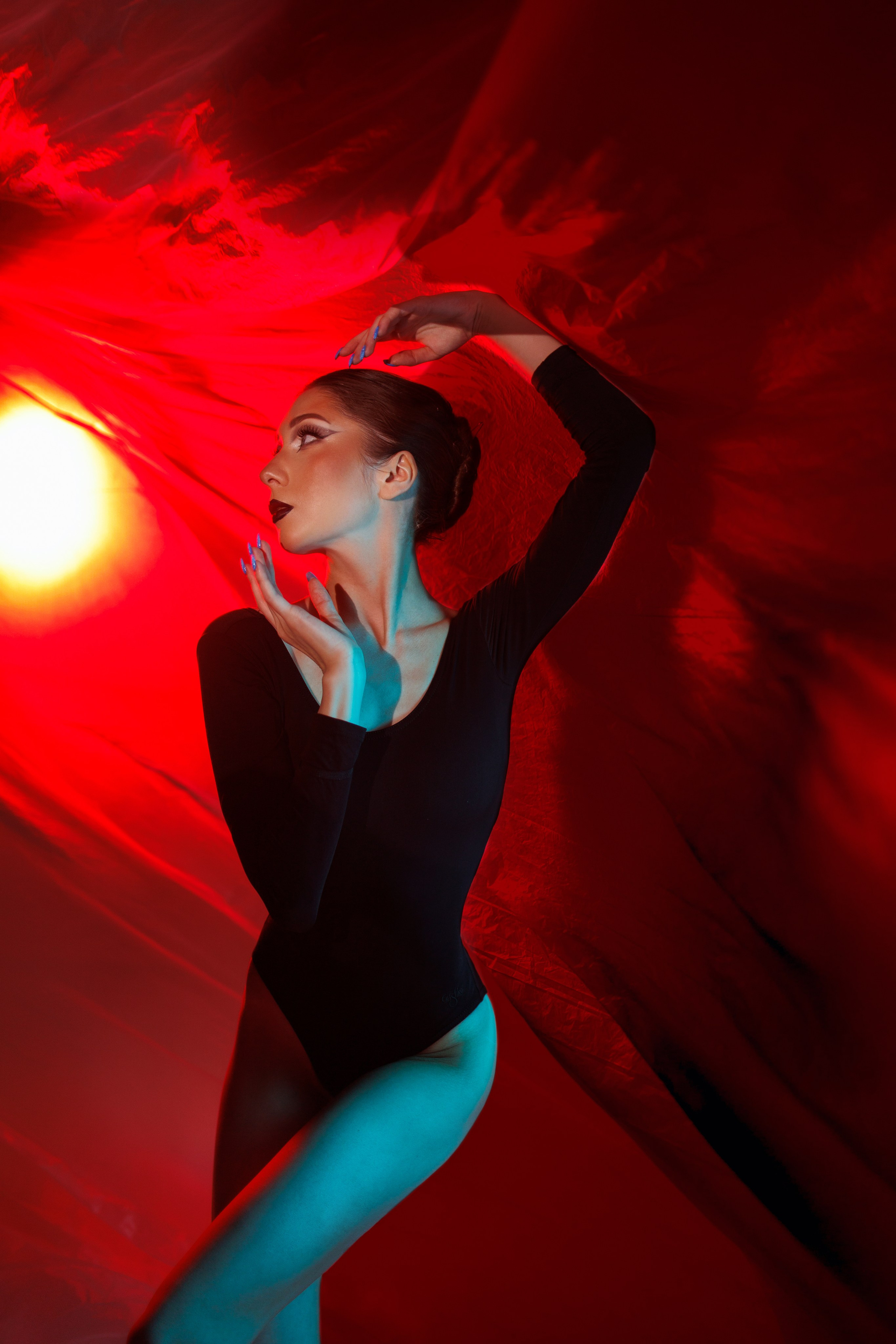 Черный лебедь. Марковкина КрисТина