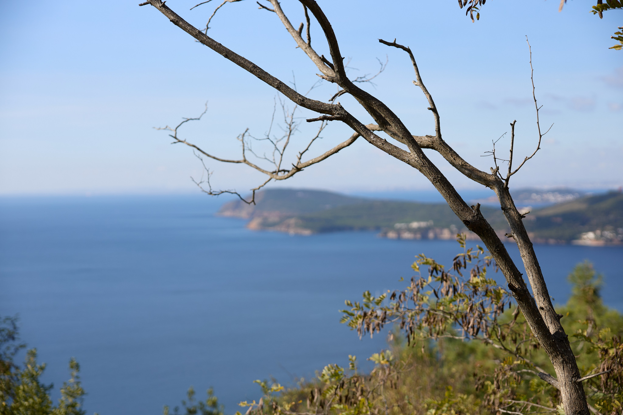 Стамбул 24. Фотограф Москва, Дима Пеллер