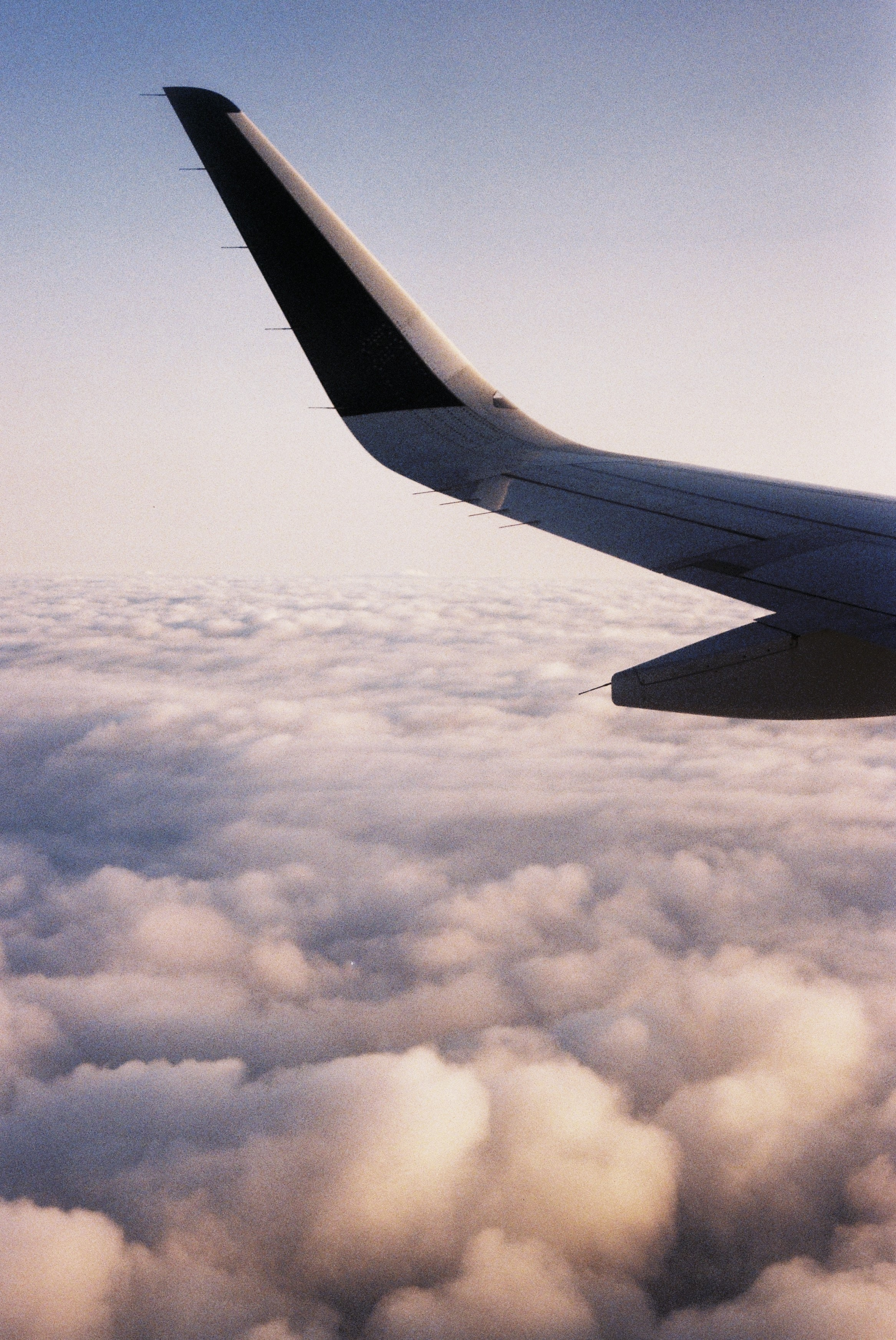 Плёнка. Фотограф в Санкт-Петербурге Надежда Гордюшина