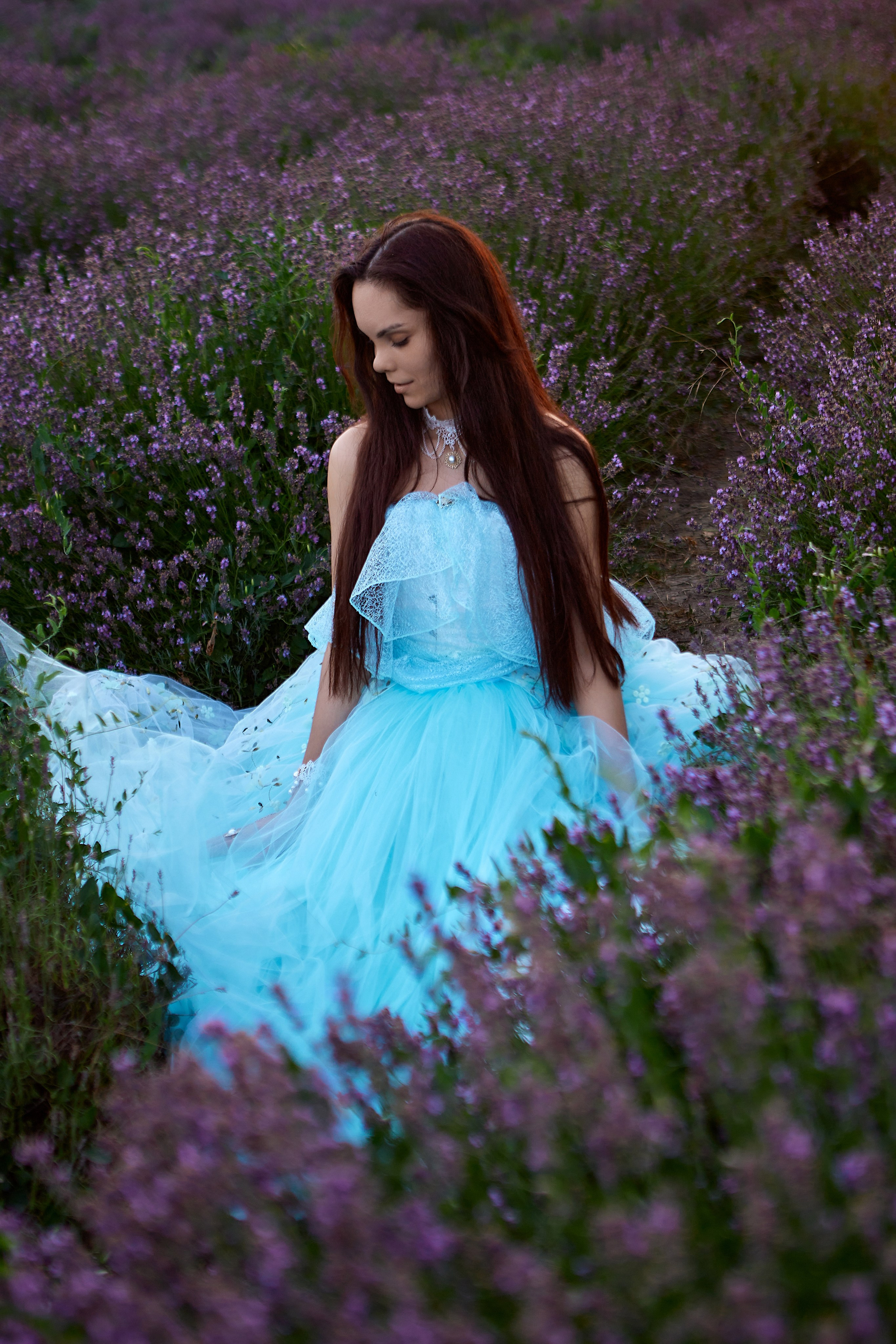 Фотосессия в лаванде винтаж. Семейный и свадебный фотограф в Краснодаре Михеева Светлана