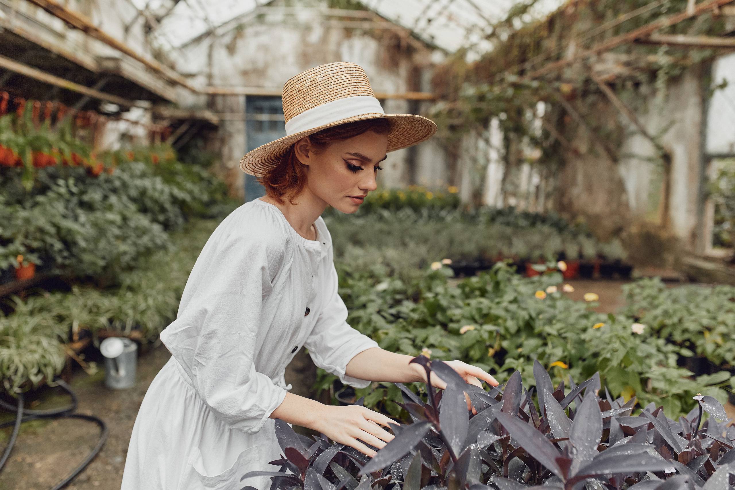 Старая оранжерея