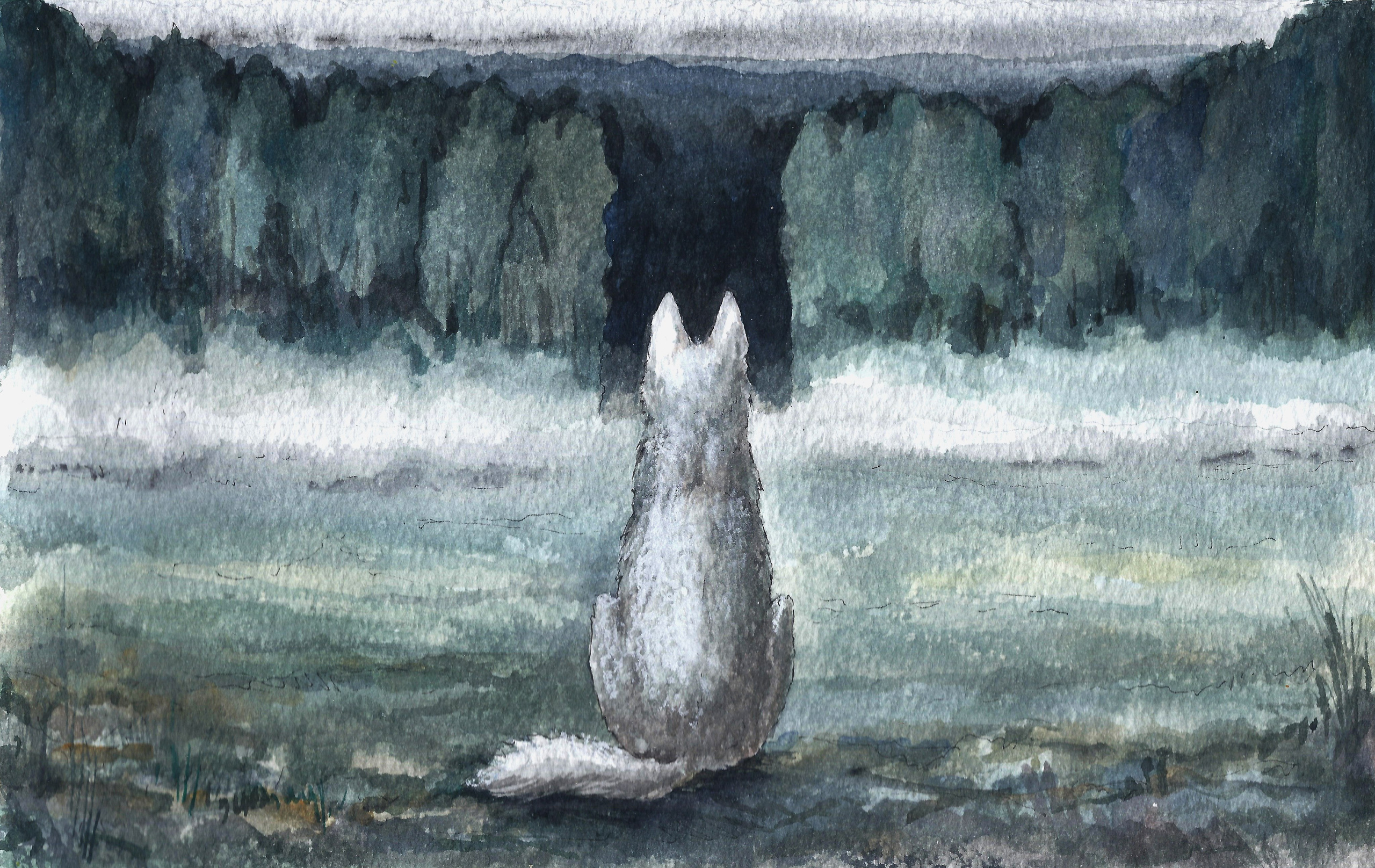 "Тишина", акварель / тушь, 2016