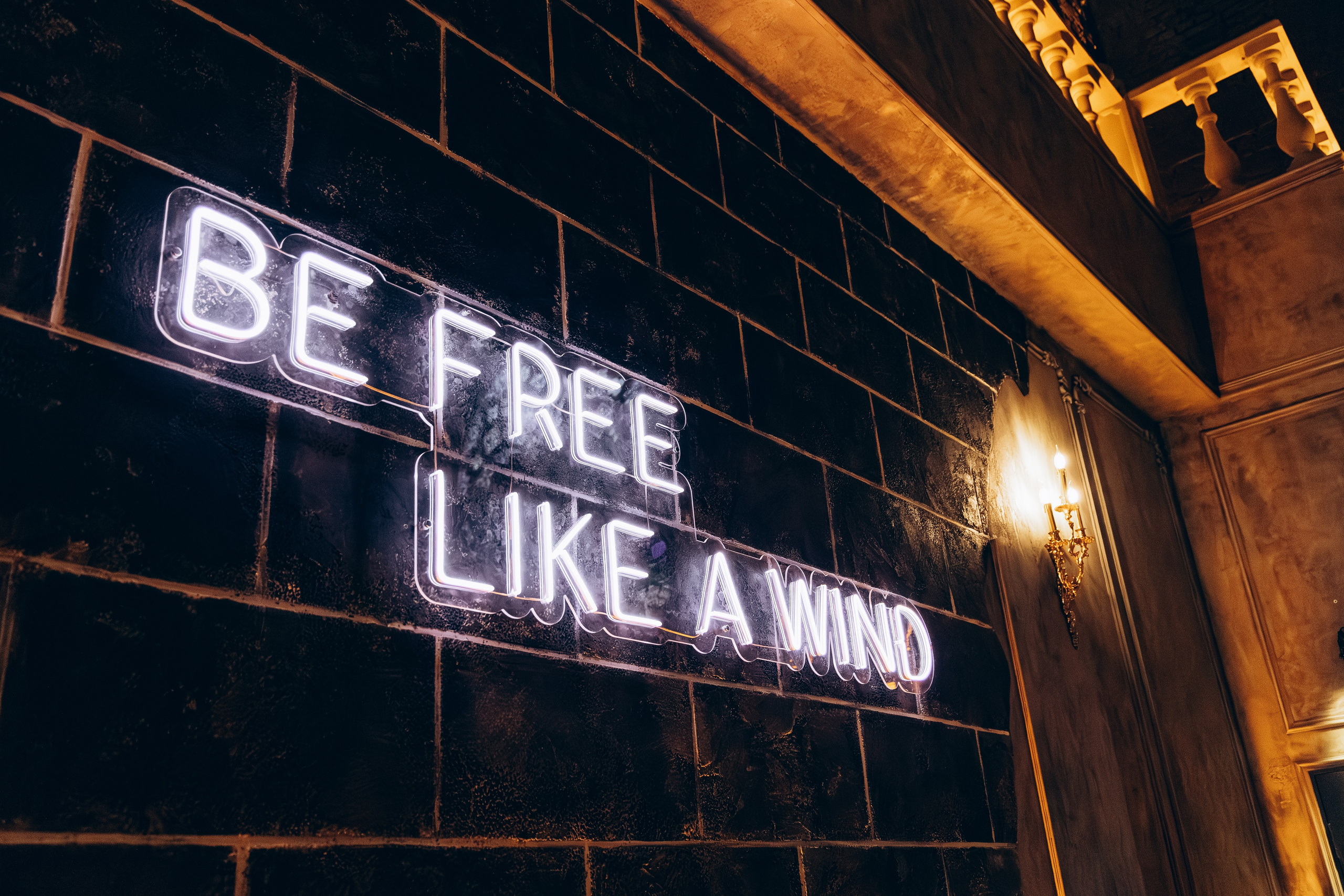 Tangiers Lounge |Открытие. Свадебный и репортажный фотограф в Омске. Червоткин Никита