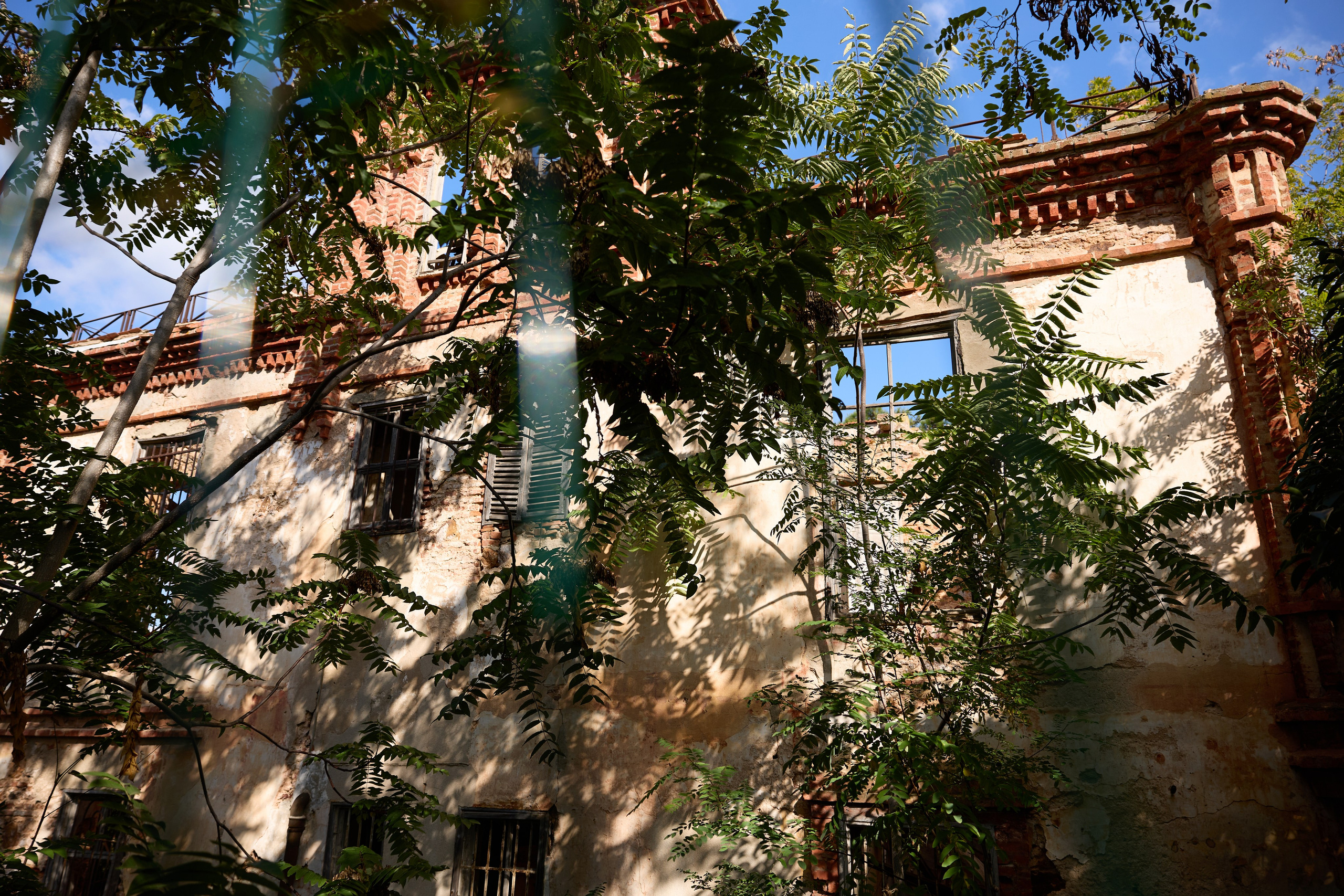 Стамбул 24. Фотограф Москва, Дима Пеллер