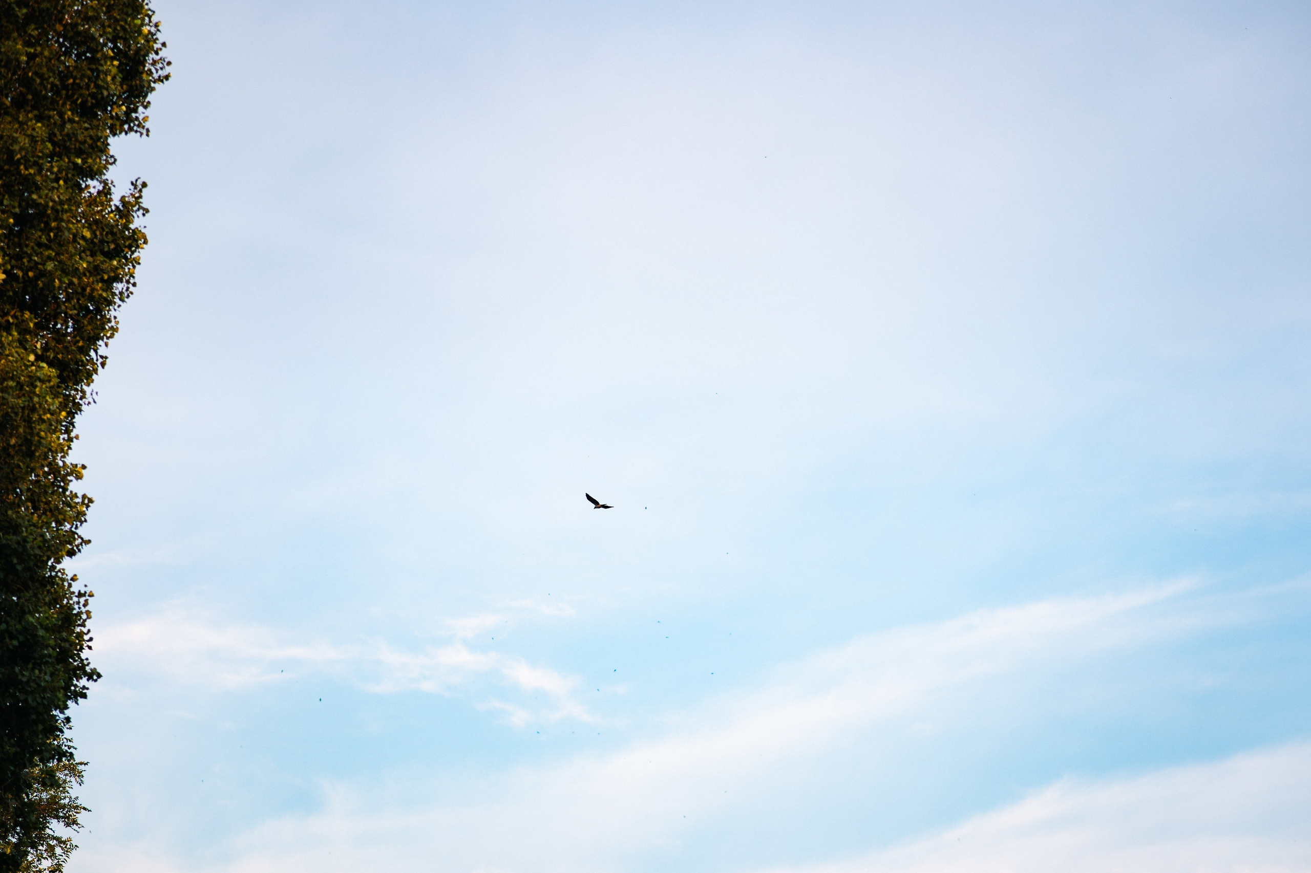 FEDUK. Фотограф в Воронеже Ольга Космодемьянская