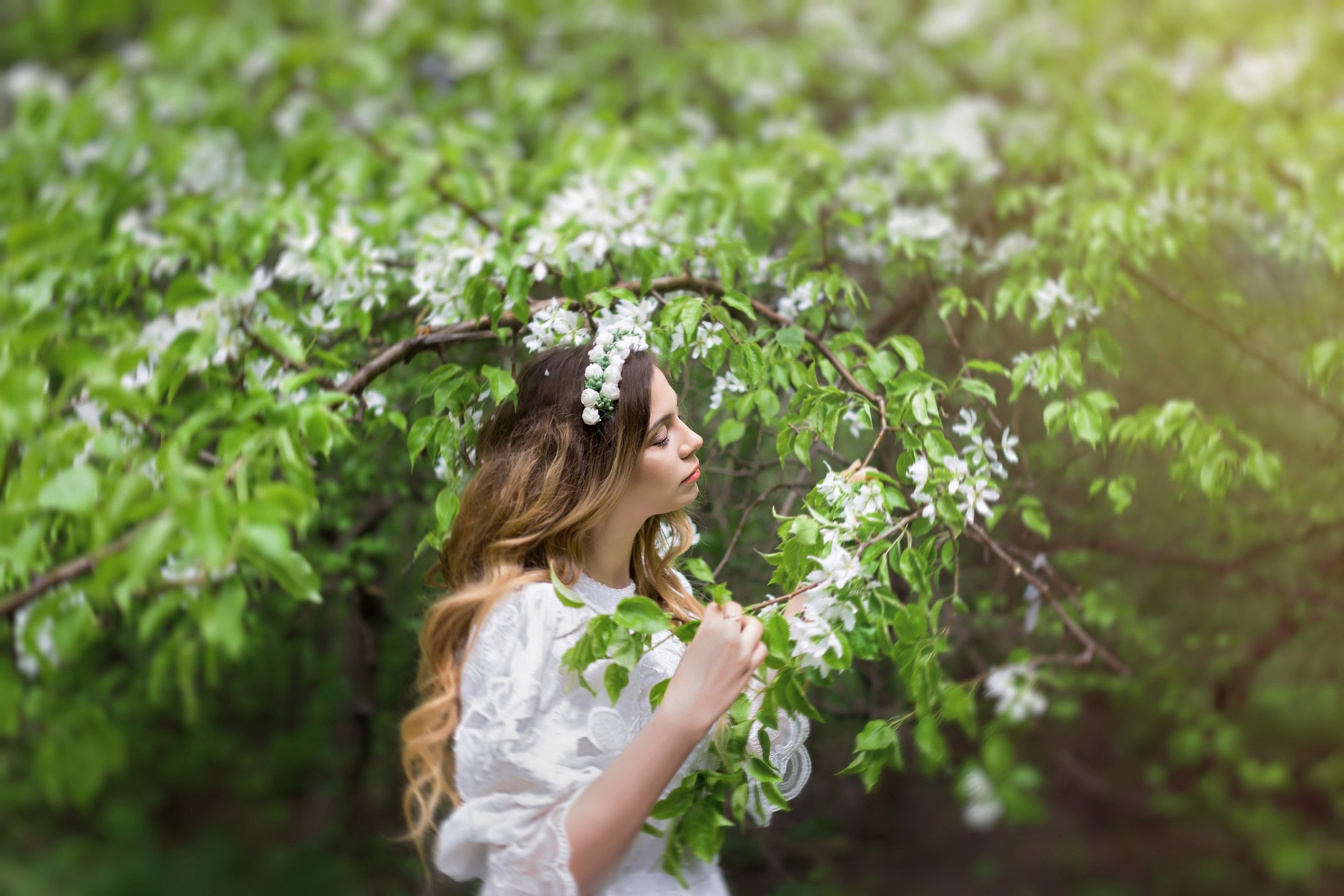 Цветение. Сказочный фотограф фотопроекты фототуры в Новосибирске и на Алтае