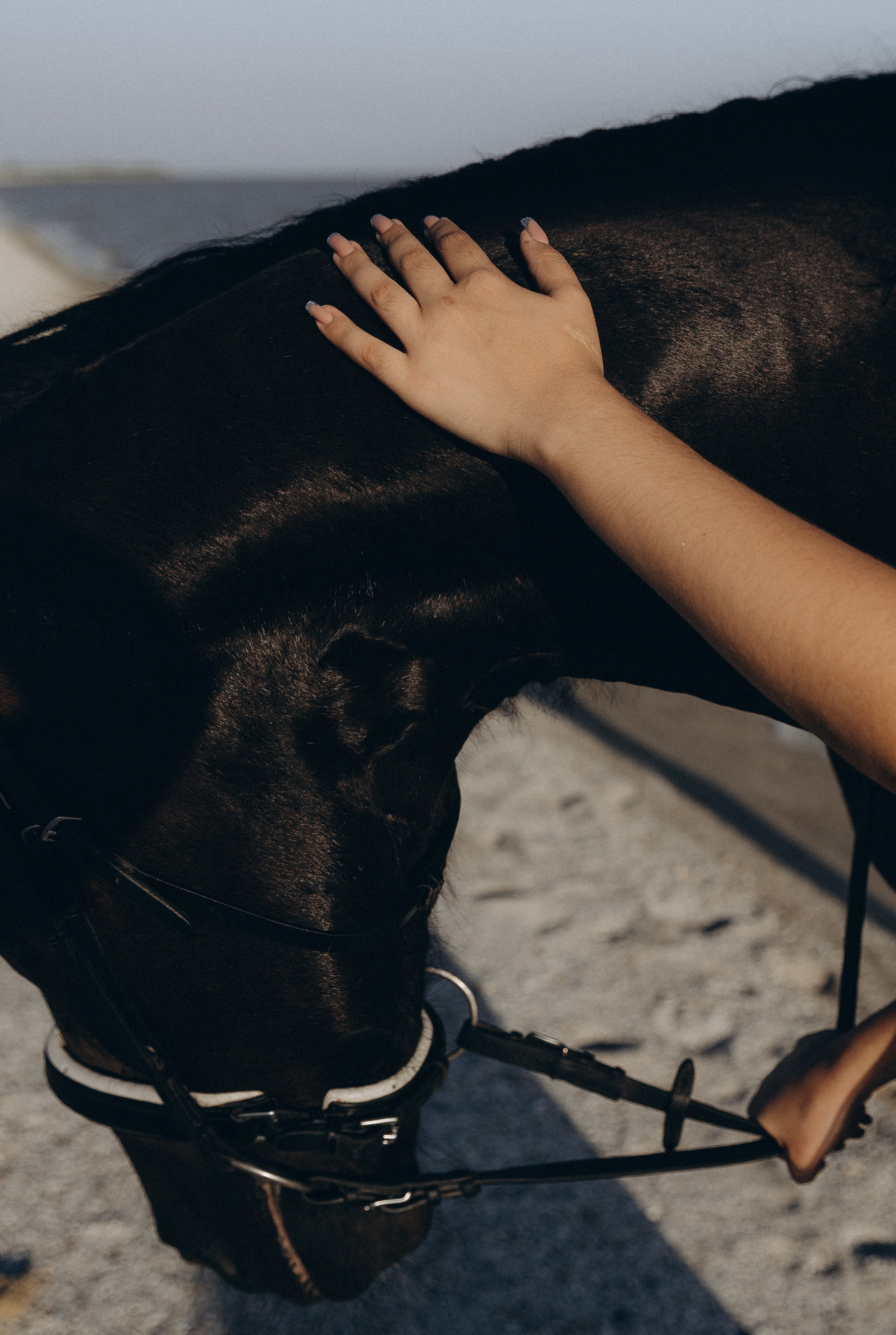 Николай и Анастасия. Главная