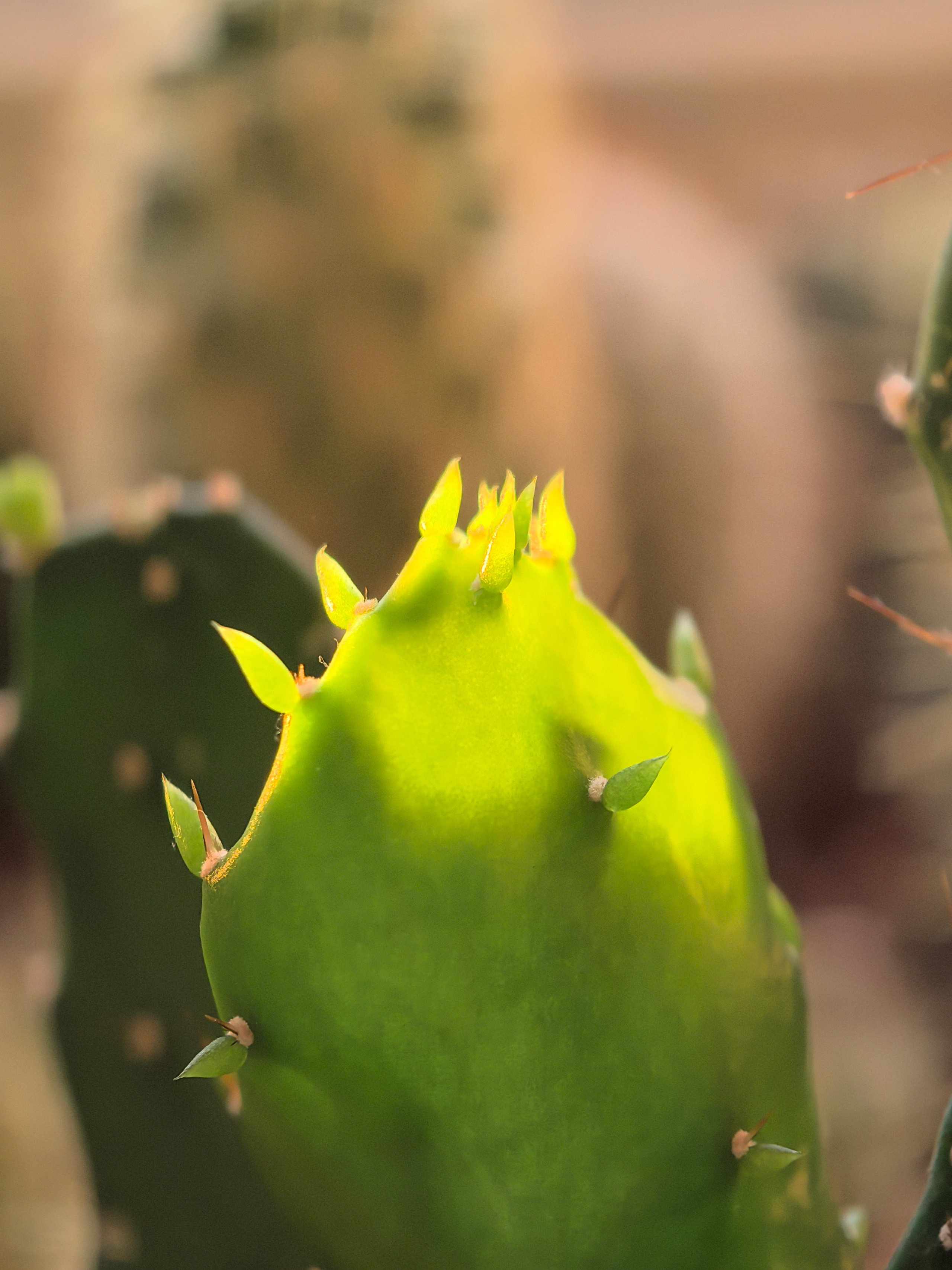 ПочтиМАКРО. Школьные выпускные альбомы в Москве Марина Николаева