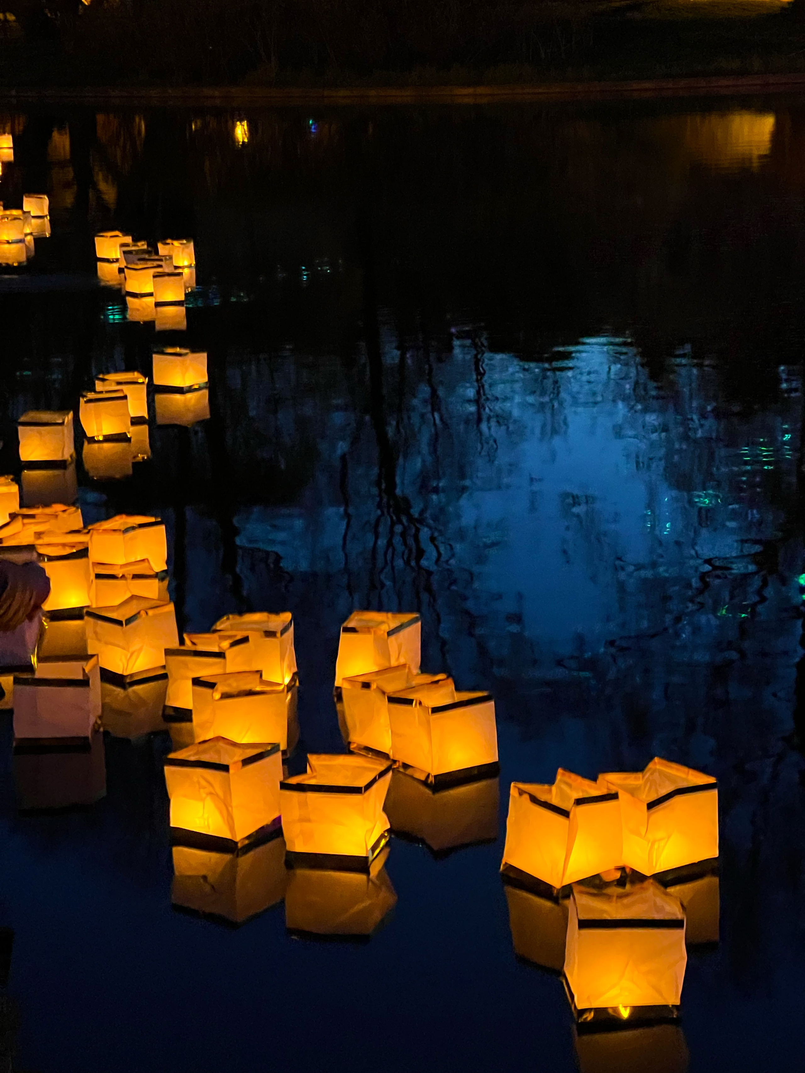 Снято на телефон. Фотография, ретушь, сканирование, восстановление старых фото, интерьерная съёмка, студия. Данилов Александр, Москва