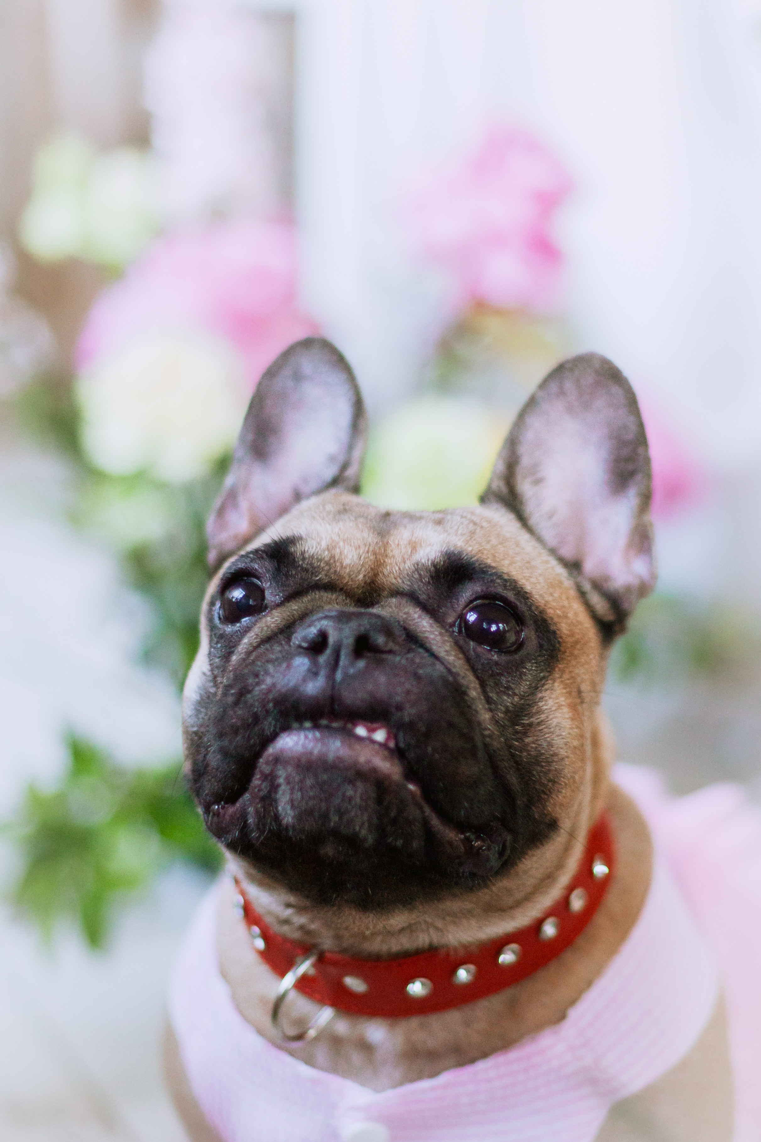 Наталья и Фрося. Фотограф-анималист Татьяна Степанова