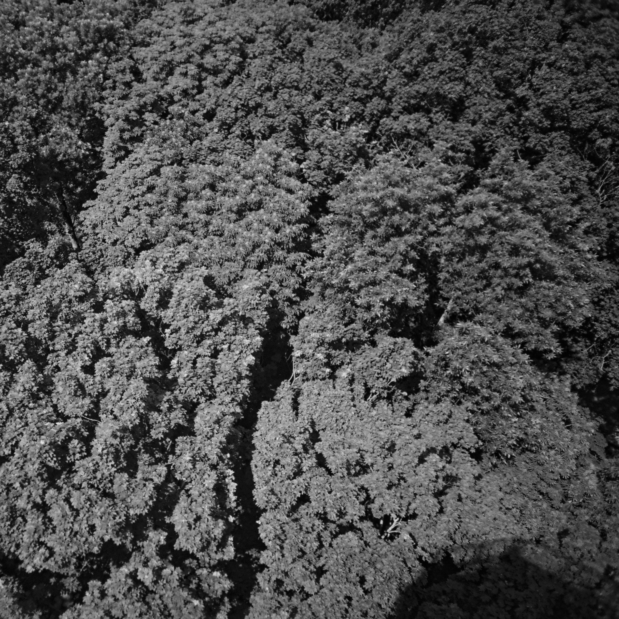 Юля Германович | Сад. Private image