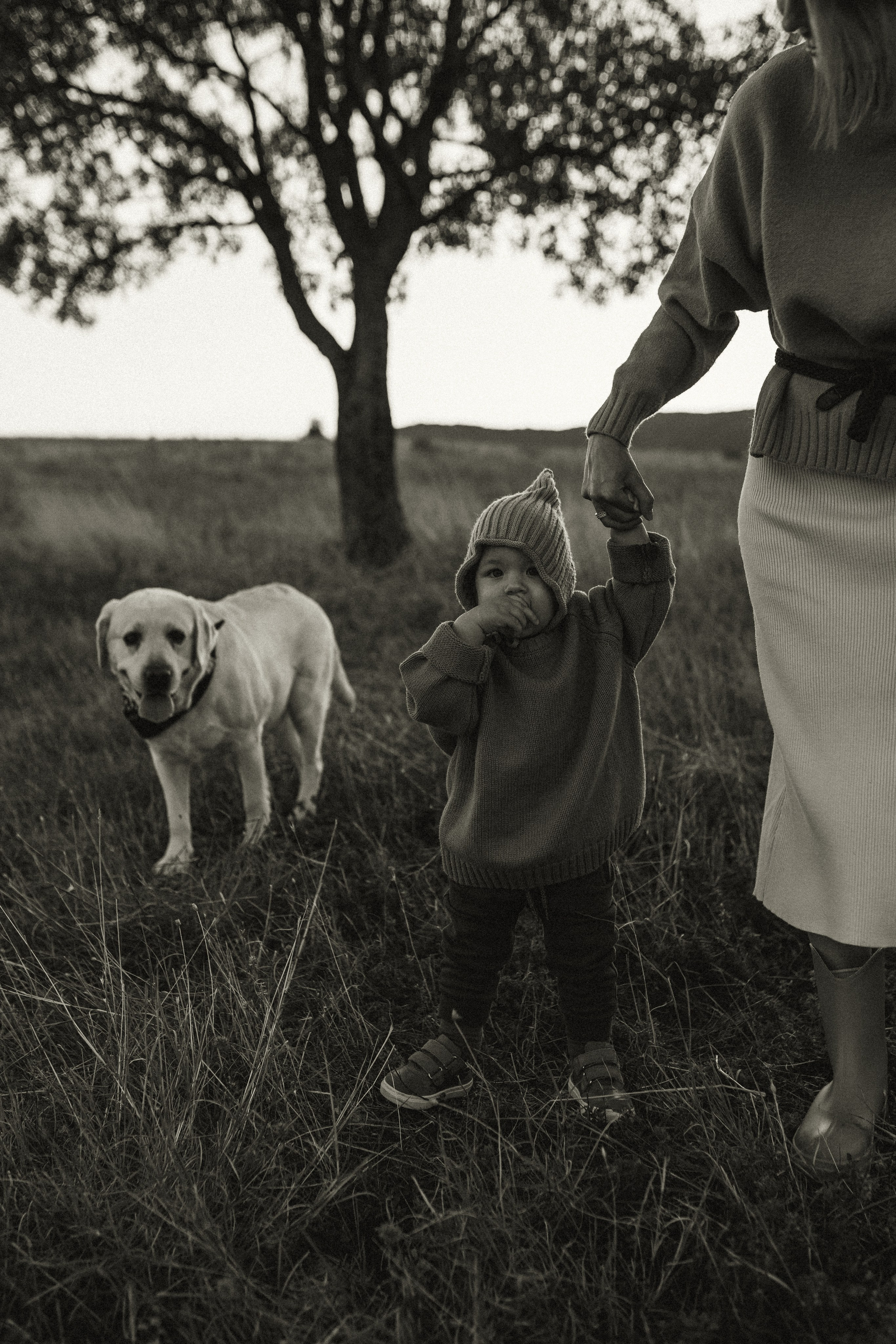 Денис Даша Макар и Егор. Семейный фотограф в Новороссийске и Анапе Александра Яковлева