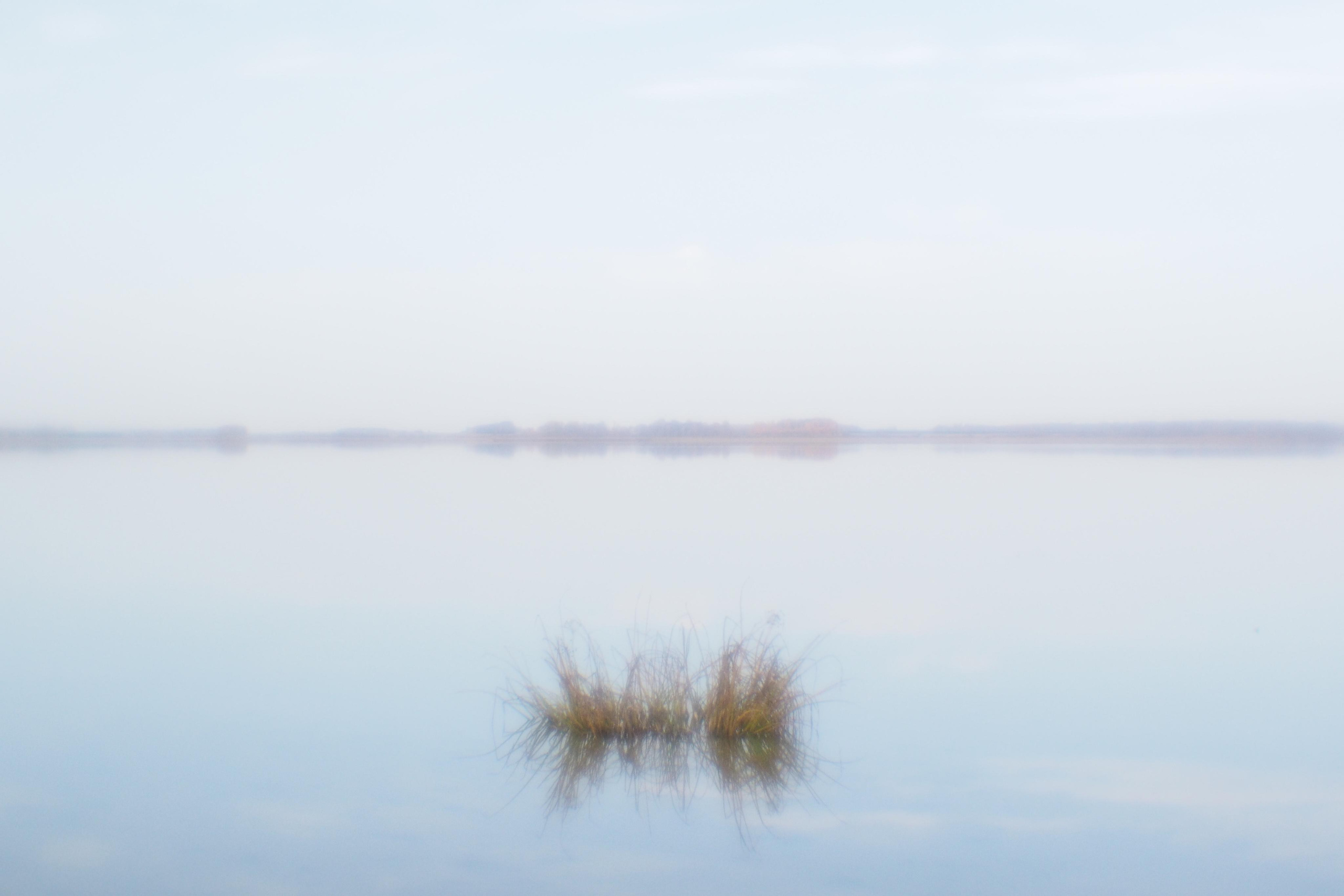 Этот прекрасный мир